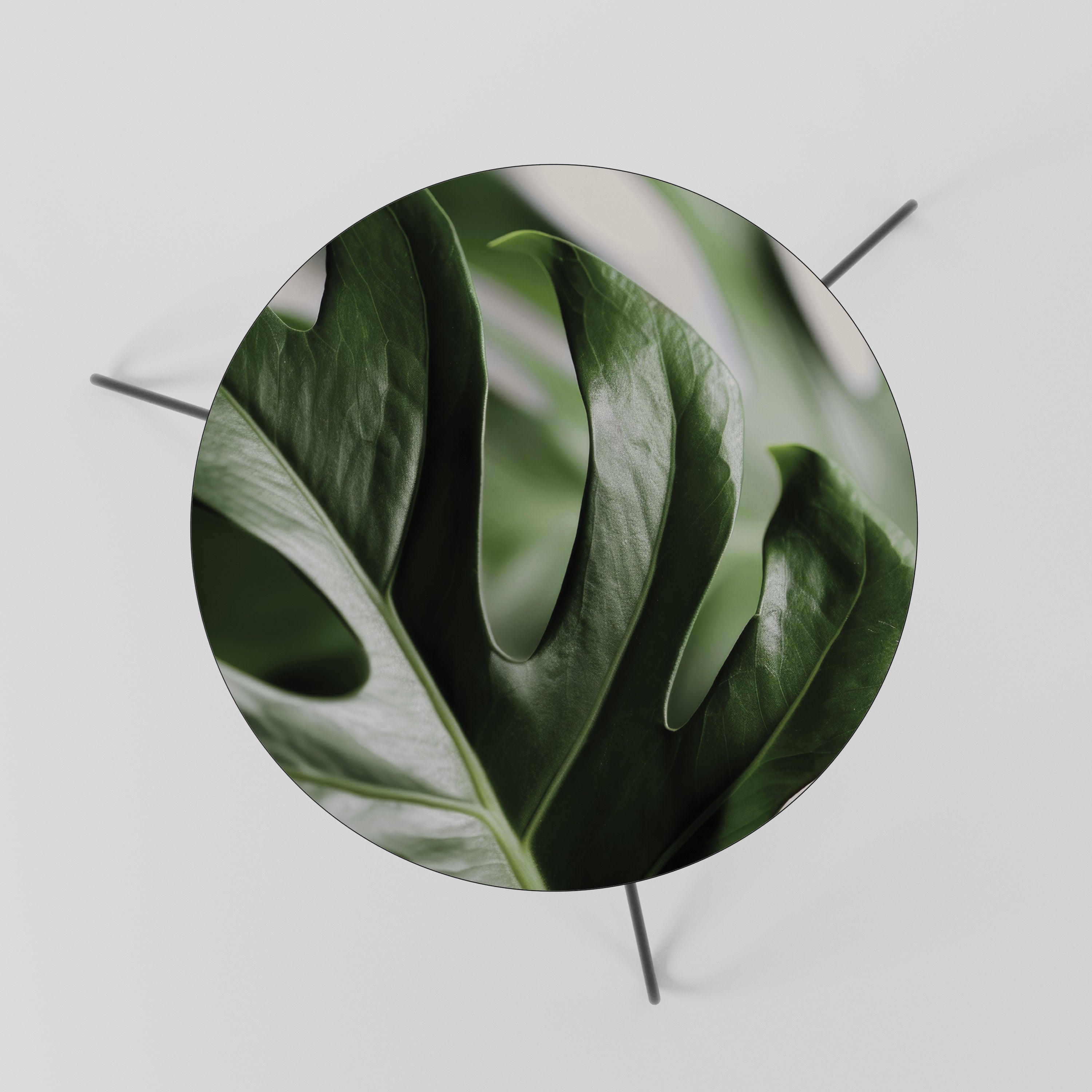 SHARP MONSTERA Coffee Table 60