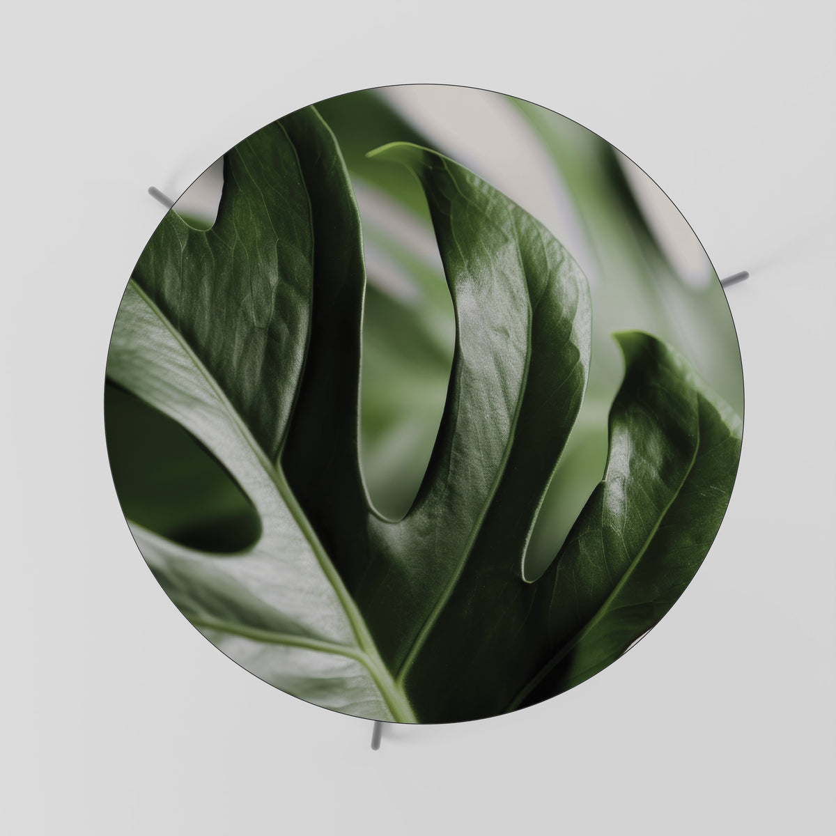SHARP MONSTERA Mesa de centro