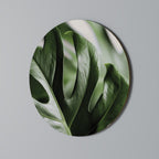 SHARP MONSTERA Decoración de Pared Redonda