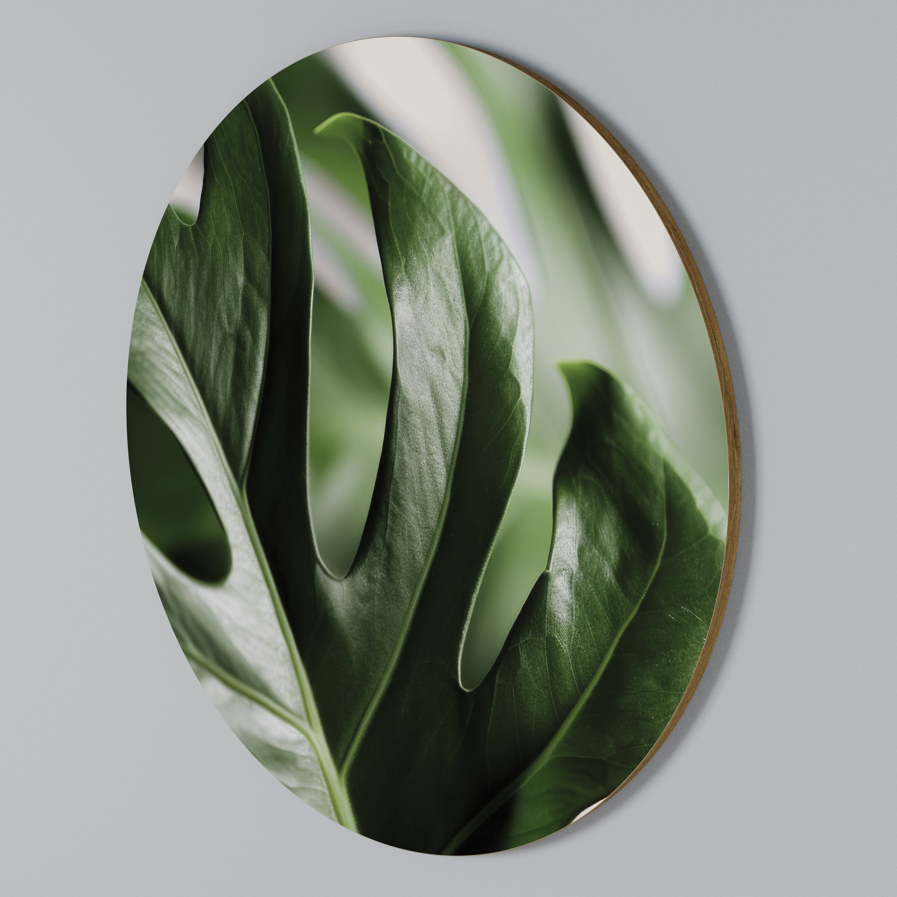 SHARP MONSTERA Round Wall Art