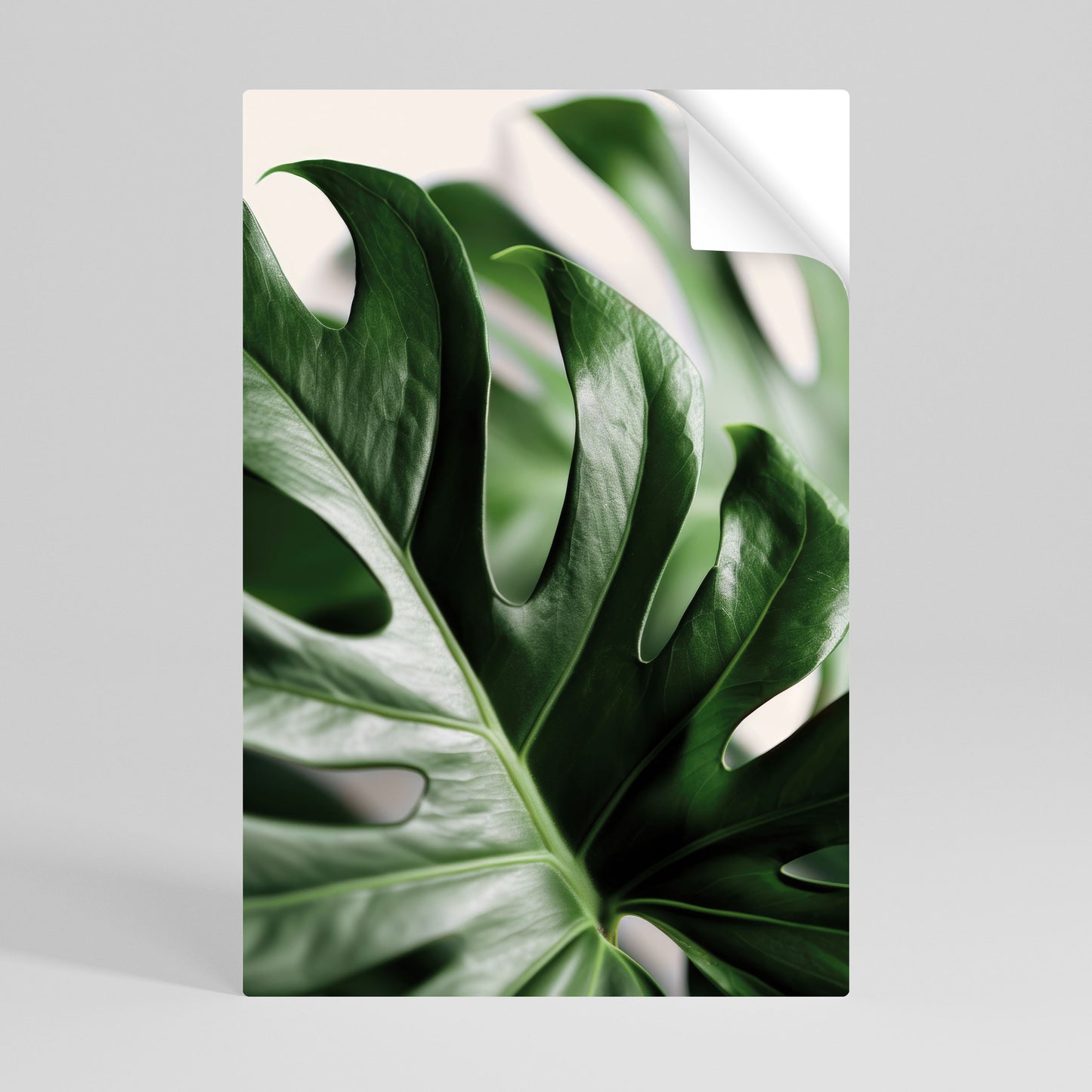 SHARP MONSTERA Póster adhesivo vertical