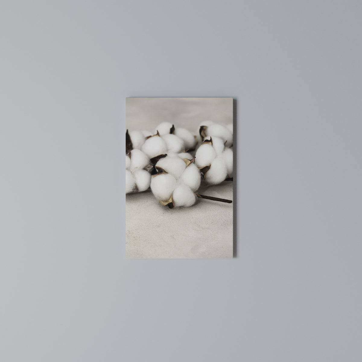 COTTON CLOUDS WHISPERS Cuadro en lienzo vertical