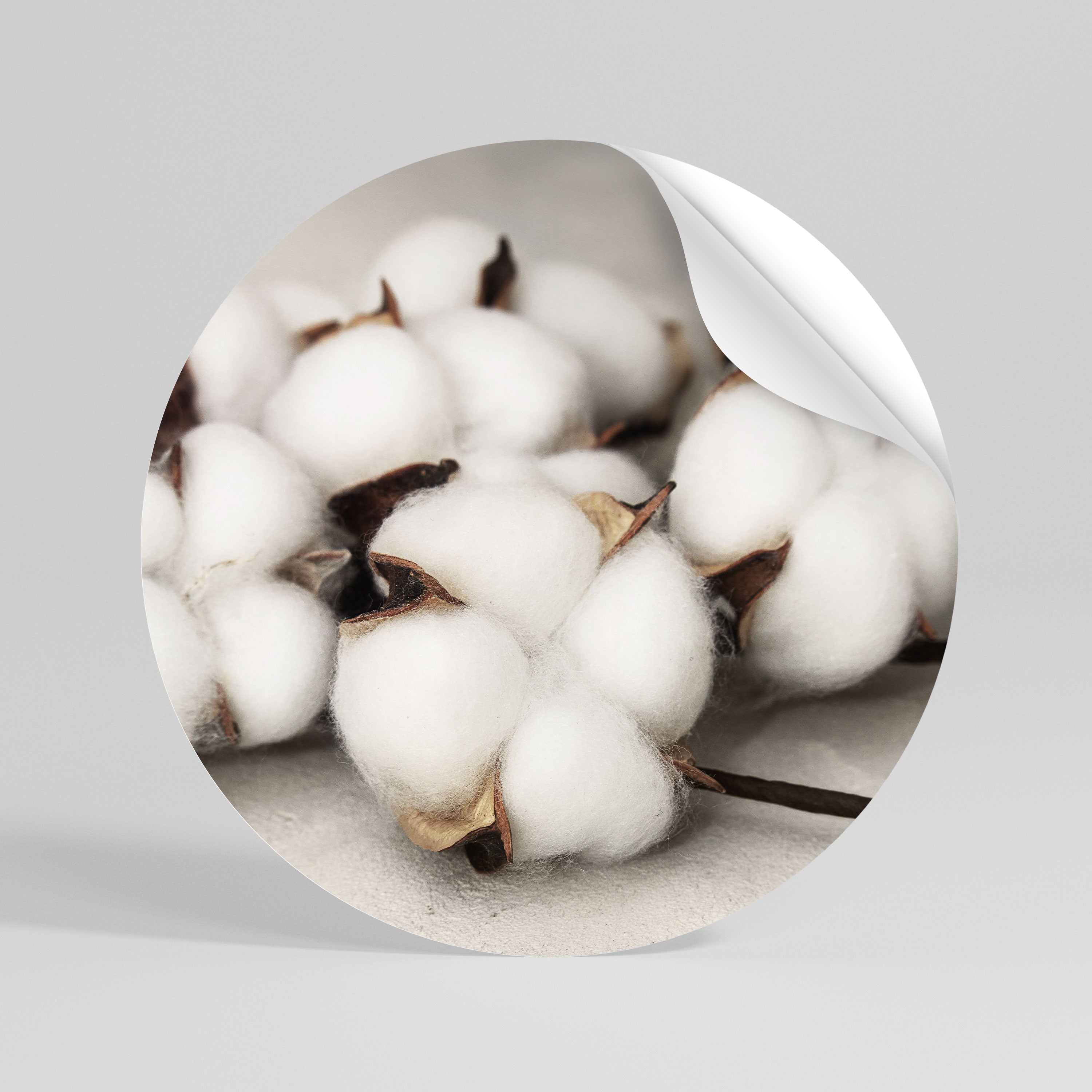 COTTON CLOUDS WHISPERS Vinilo adhesivo redondo