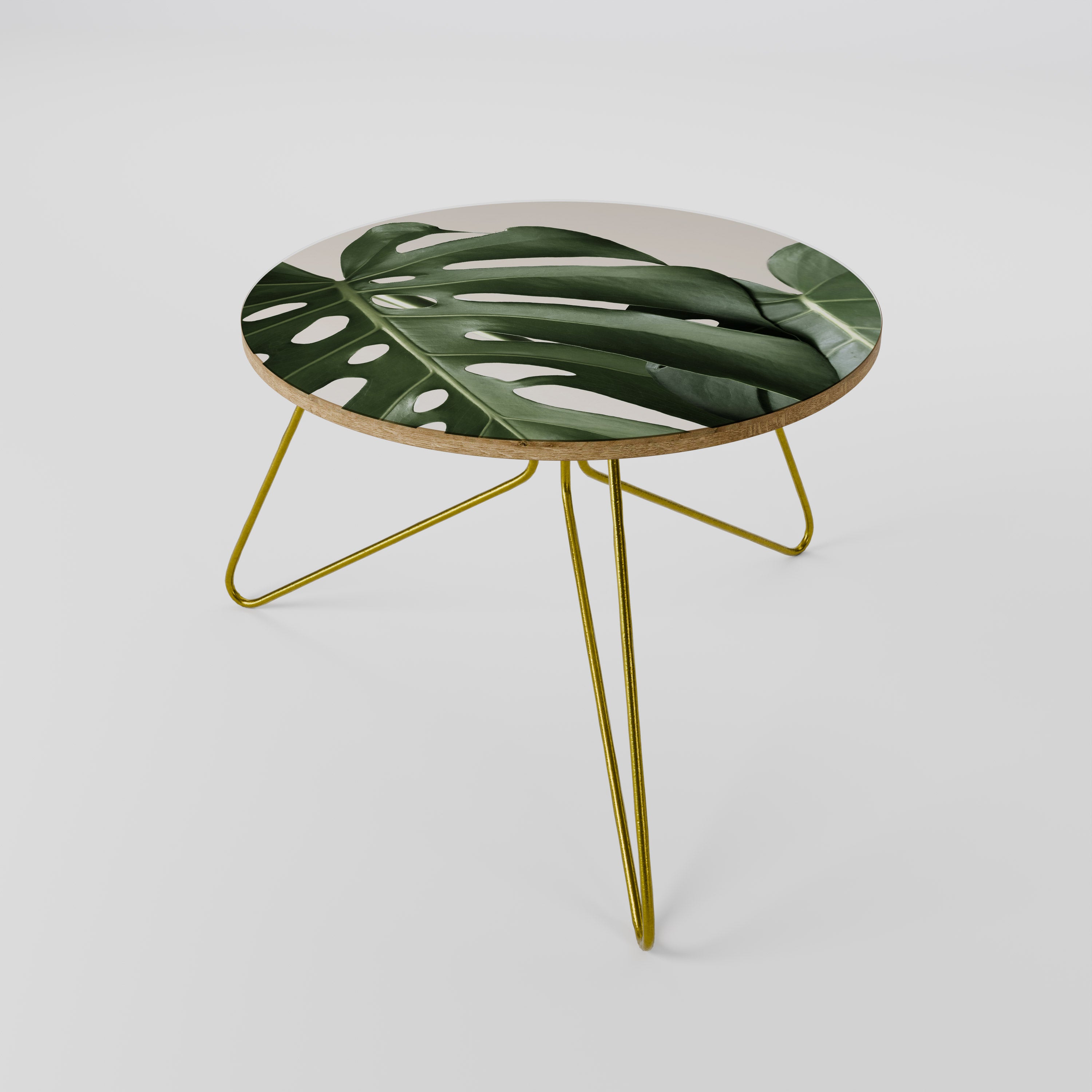 MONSTERA ACCURACY Coffee Table 60
