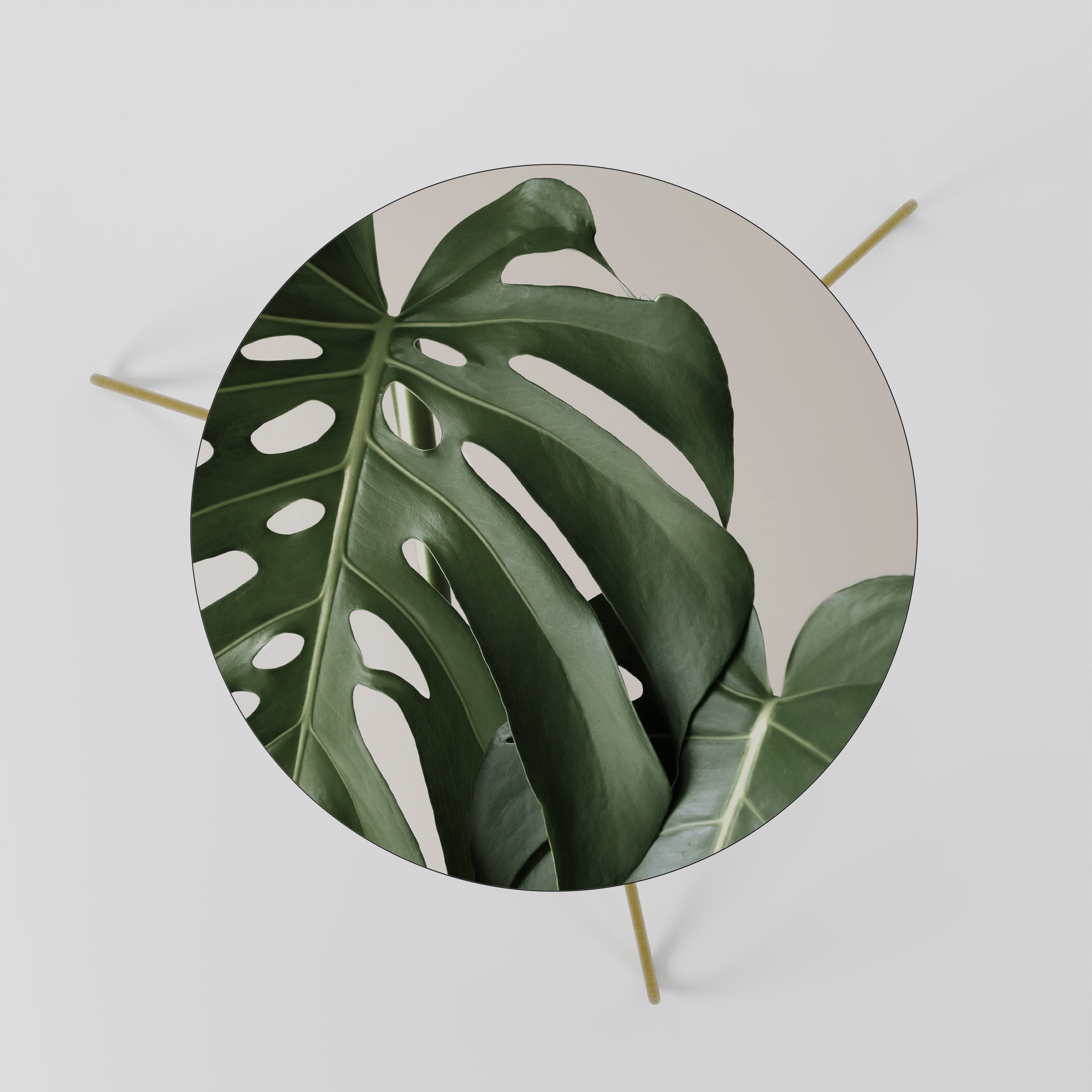MONSTERA ACCURACY Coffee Table 60