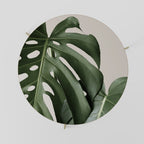 Mesa de centro MONSTERA ACCURACY 69