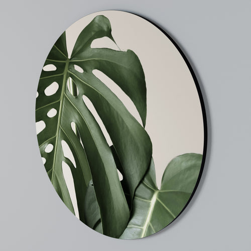 MONSTERA ACCURACY Arte de pared redondo