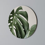 MONSTERA ACCURACY Decoración de Pared Redonda