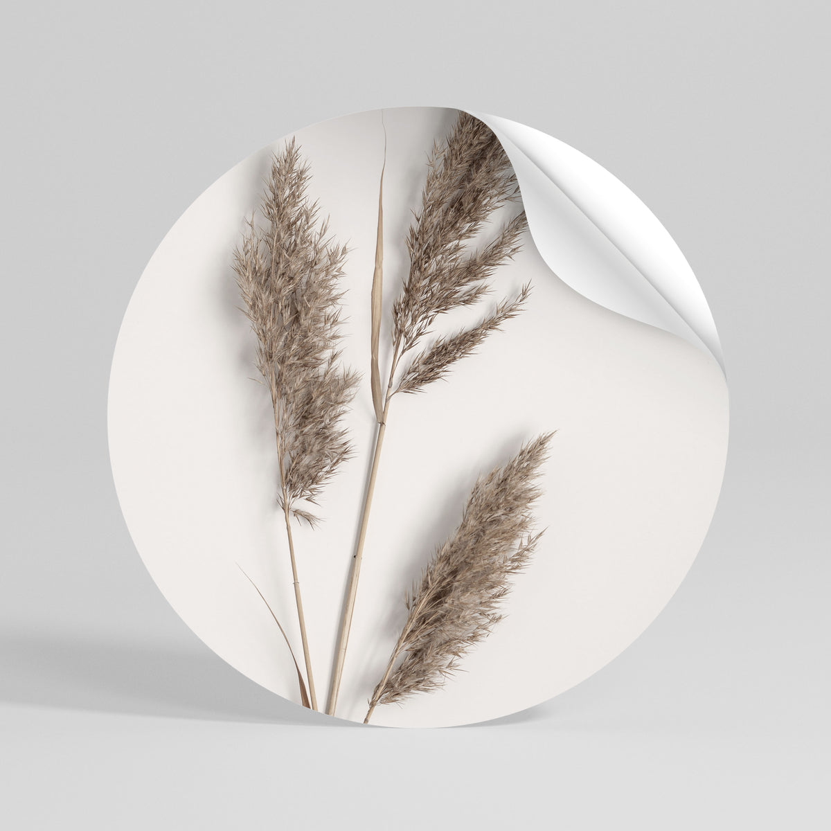 SOFT BREEZE MOMENT Vinilo adhesivo redondo