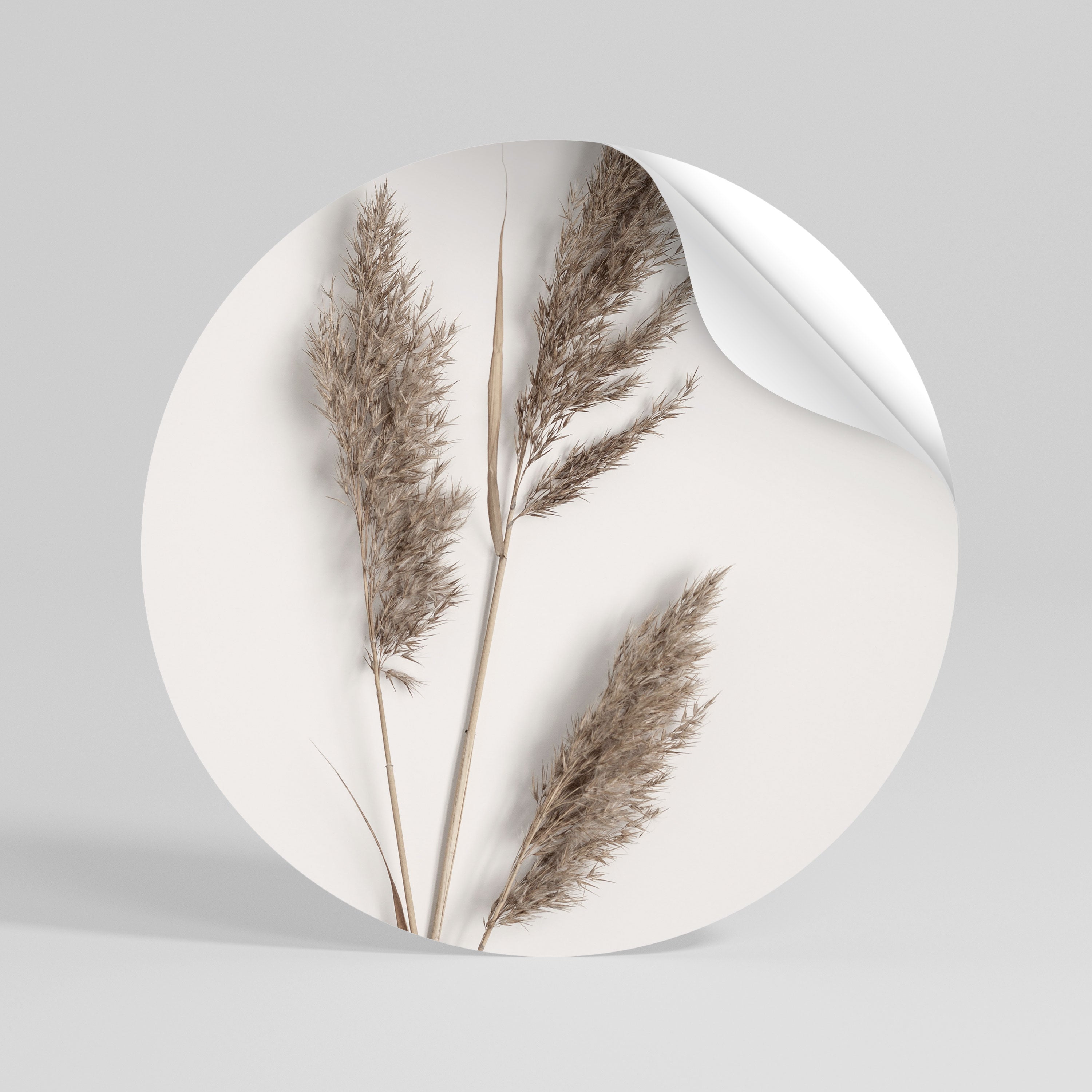 SOFT BREEZE MOMENT Vinilo adhesivo redondo