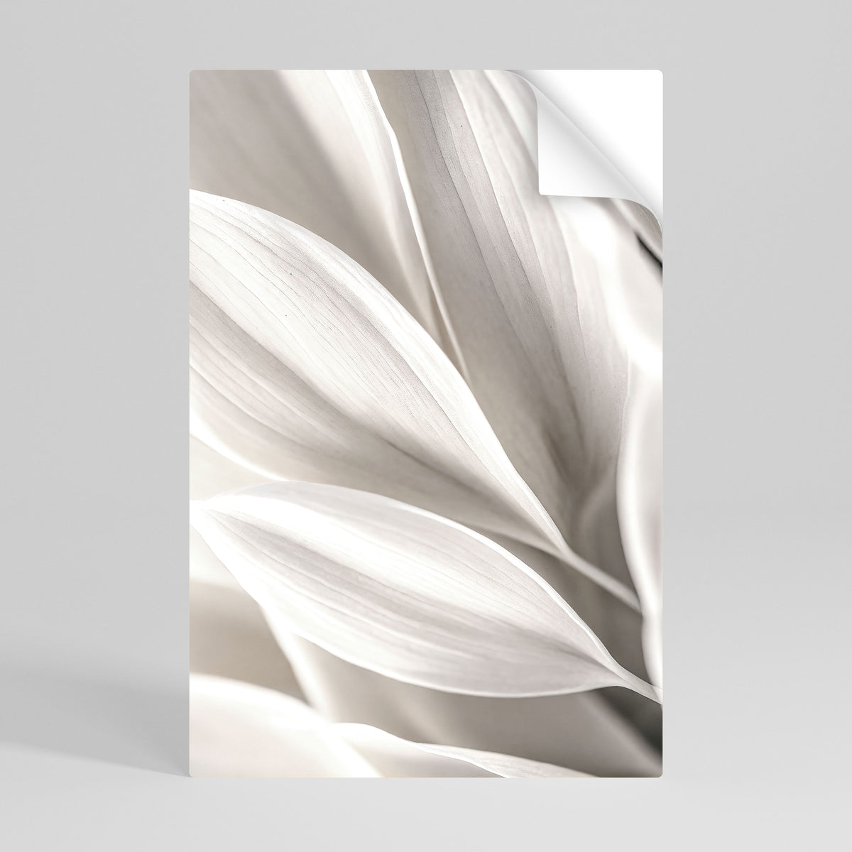 WHISPERS OF WHITE Póster adhesivo vertical