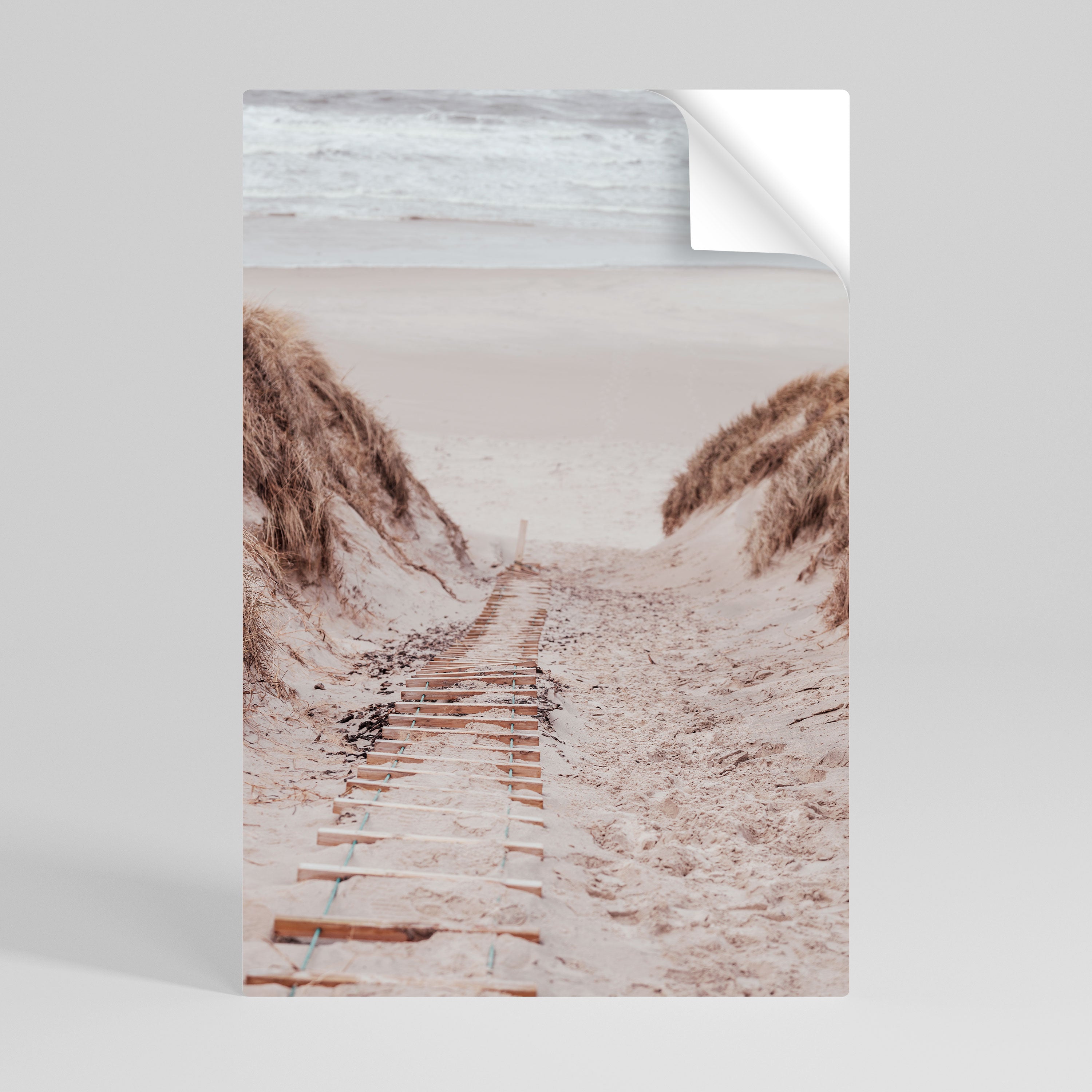 HIDDEN COASTLINE TREK Póster adhesivo vertical