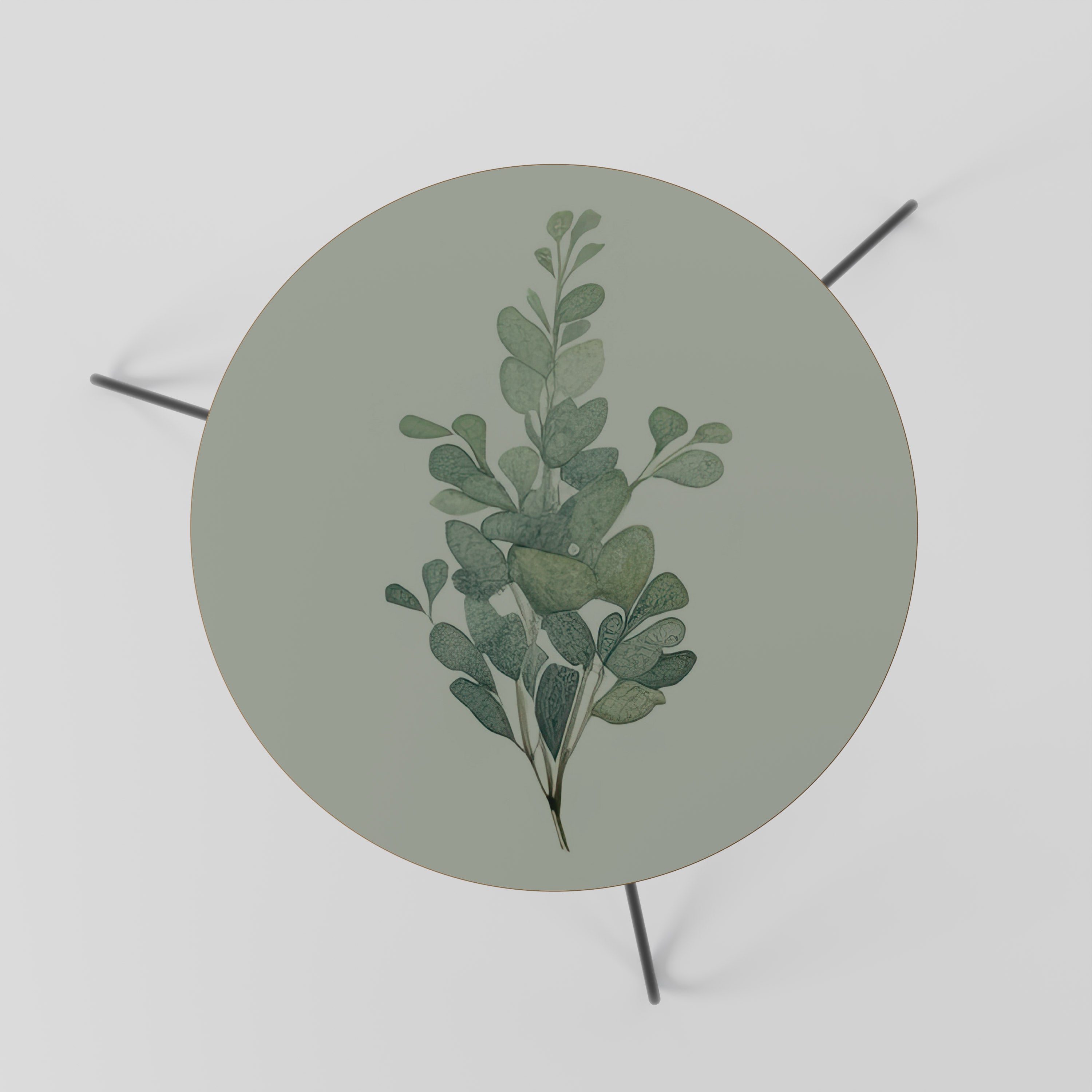 EUCALYPTUS TWIG Coffee Table 60