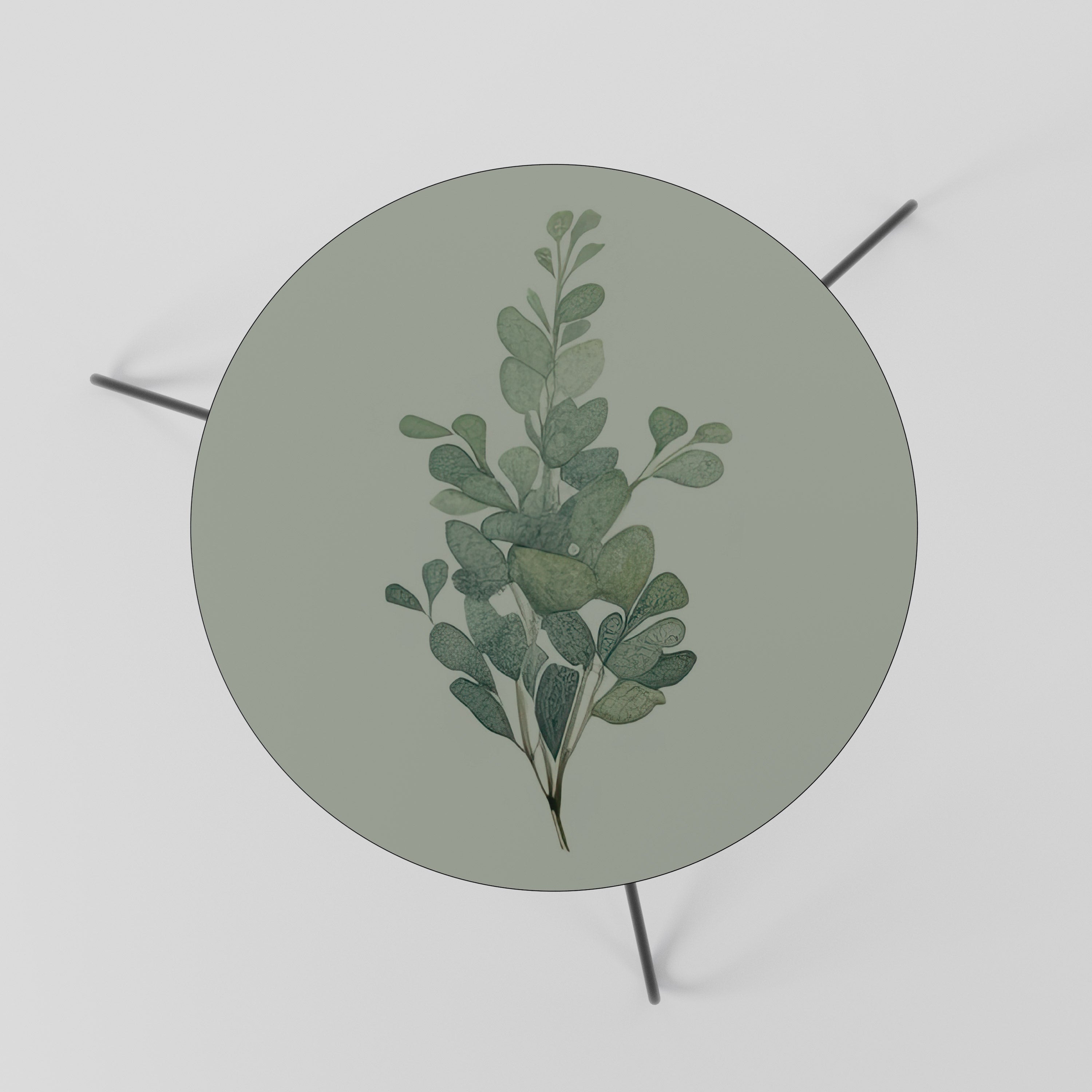 EUCALYPTUS TWIG Coffee Table 60