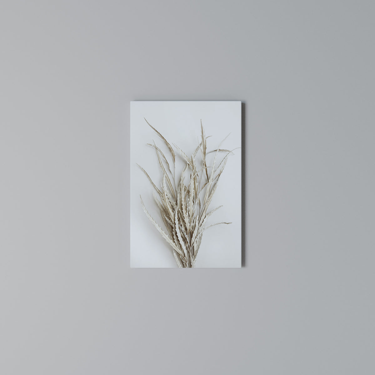 DRIED DREAMS DISPLAY Cuadro en lienzo vertical
