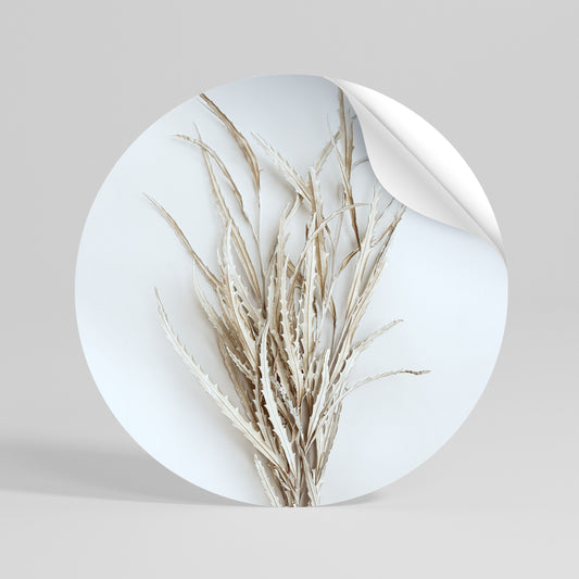 DRIED DREAMS DISPLAY Vinilo adhesivo redondo