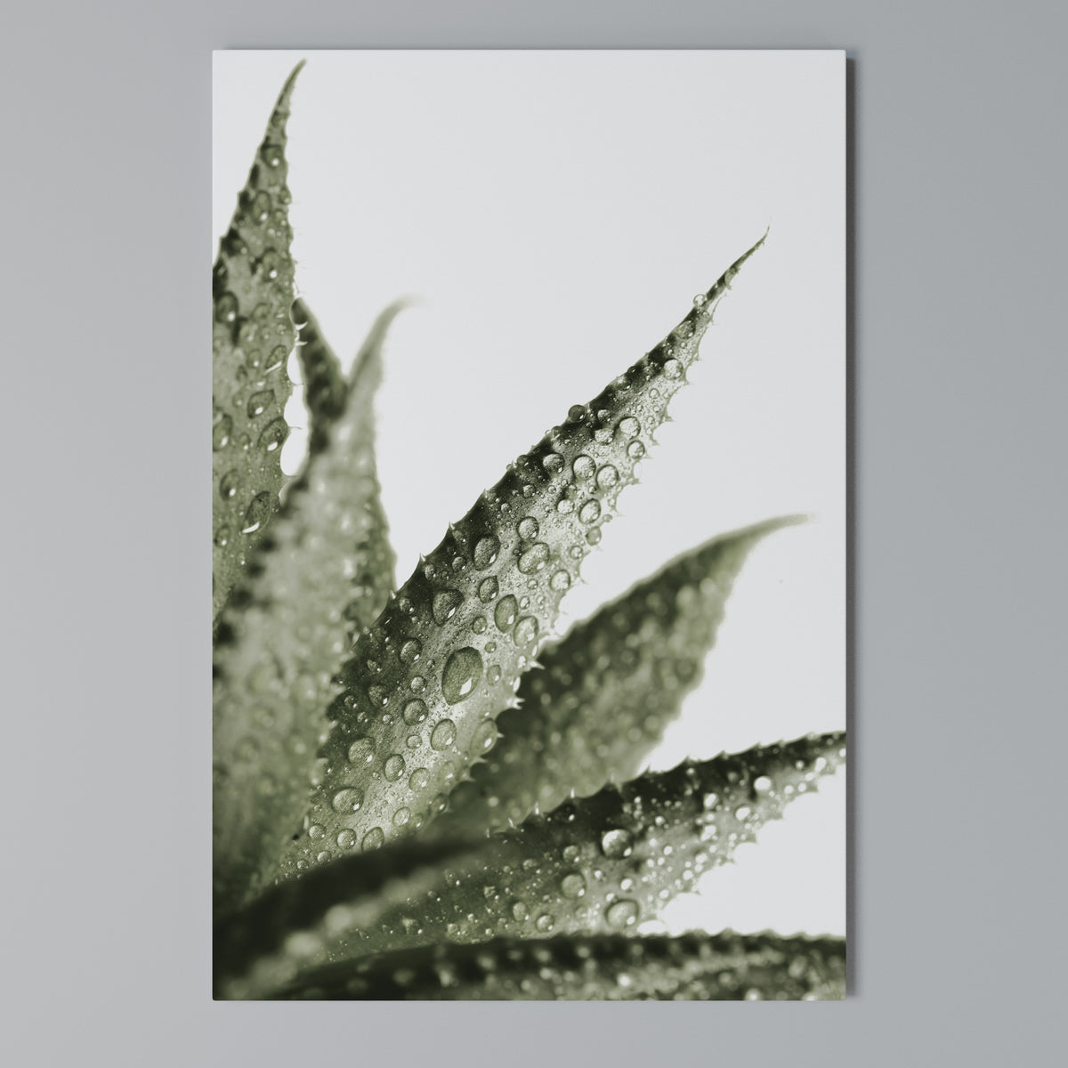 DEWDROP SYMPHONY Cuadro en lienzo vertical
