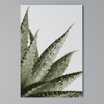 DEWDROP SYMPHONY Cuadro en lienzo vertical