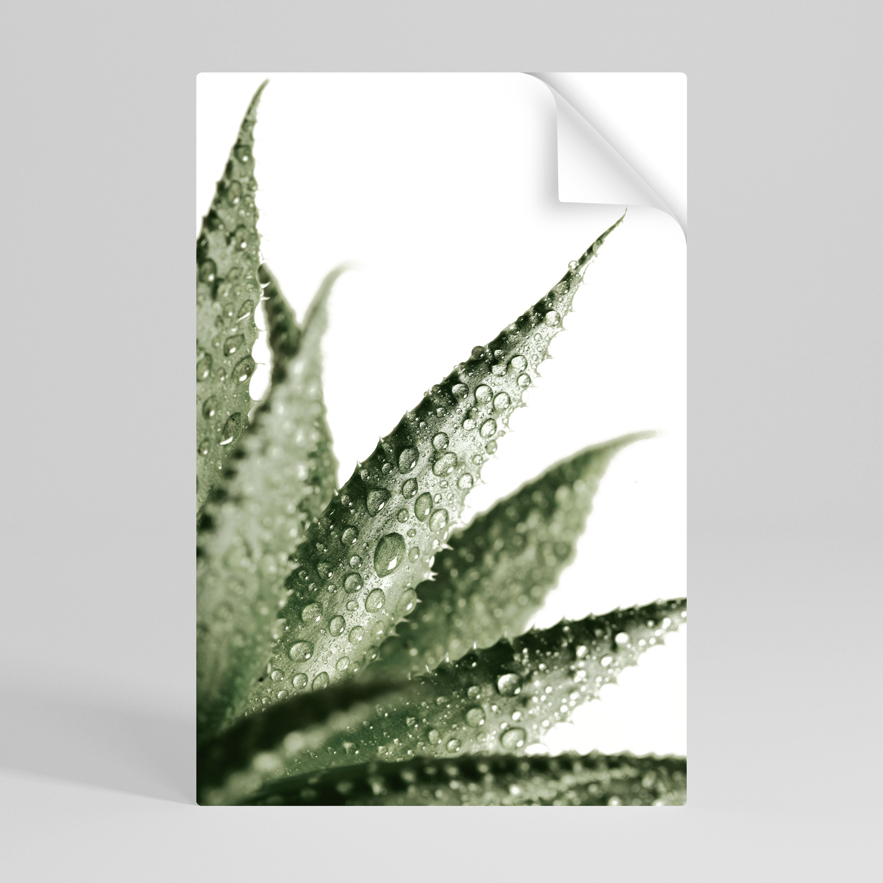 DEWDROP SYMPHONY Peel and Stick Vertical Poster