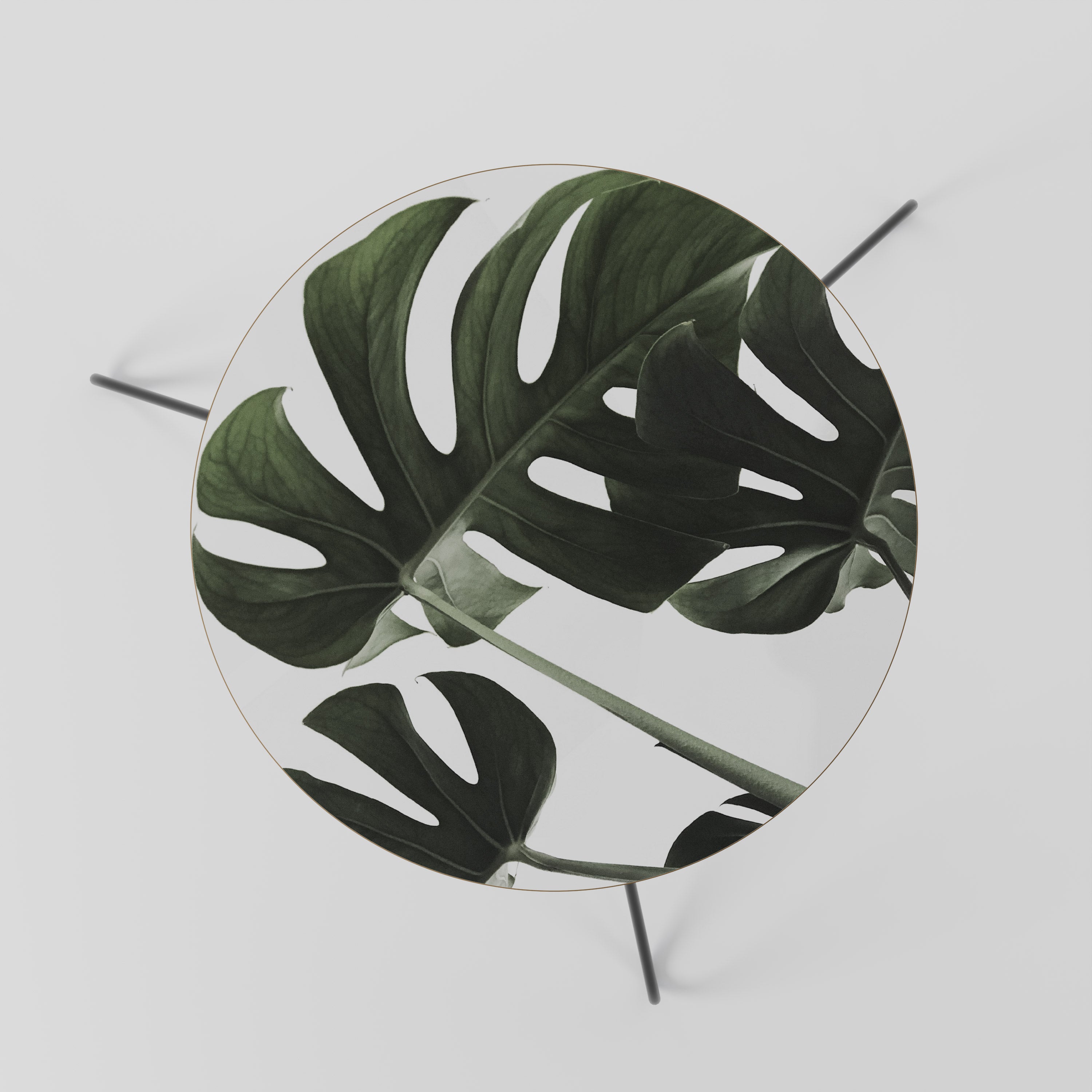 FOLIAGE FUSION Coffee Table 60