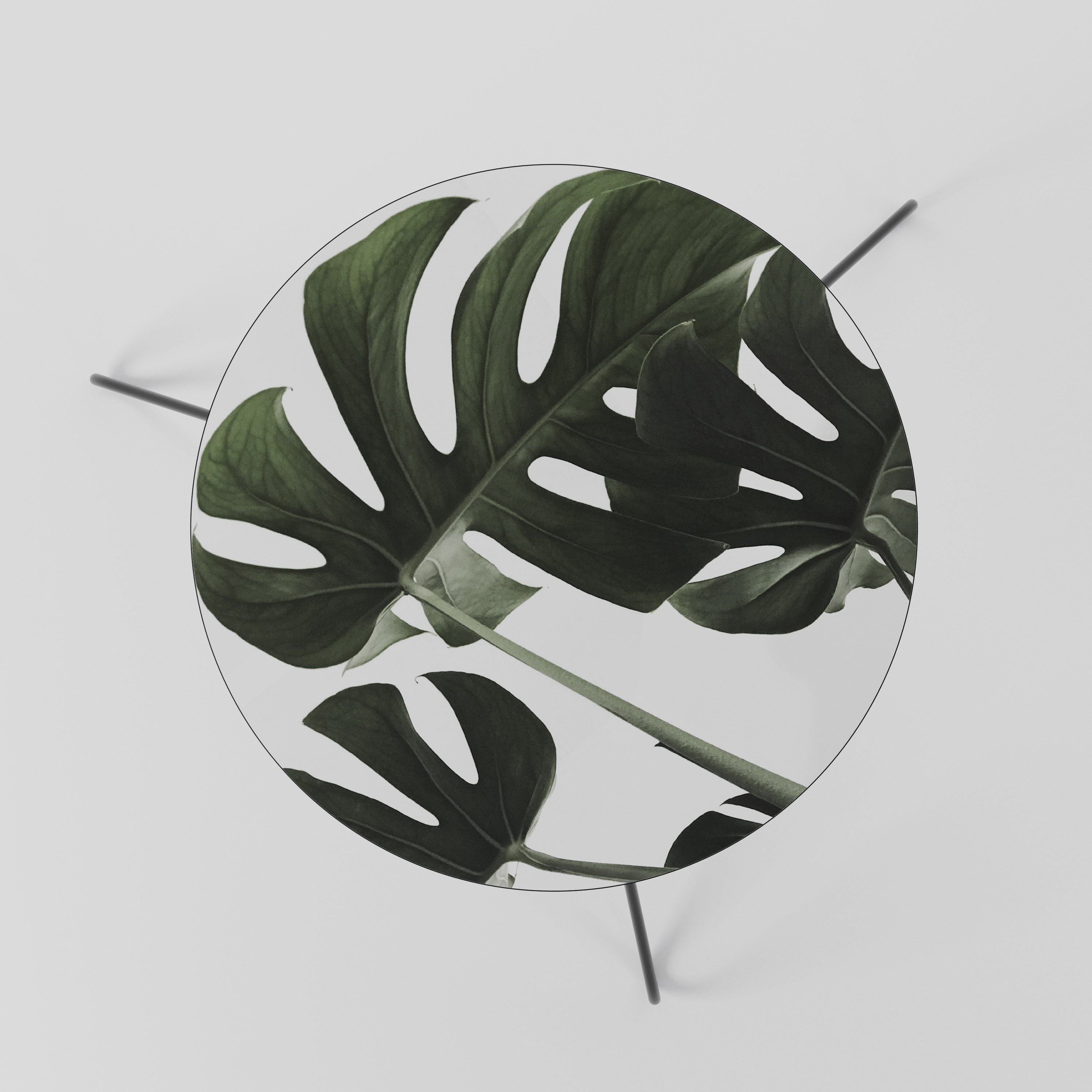 FOLIAGE FUSION Coffee Table 60