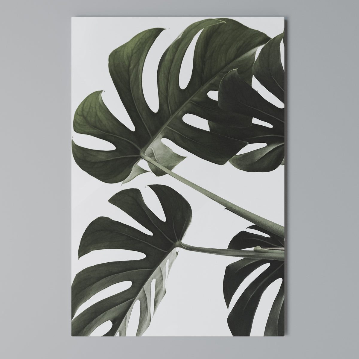 FOLIAGE FUSION Cuadro en lienzo vertical