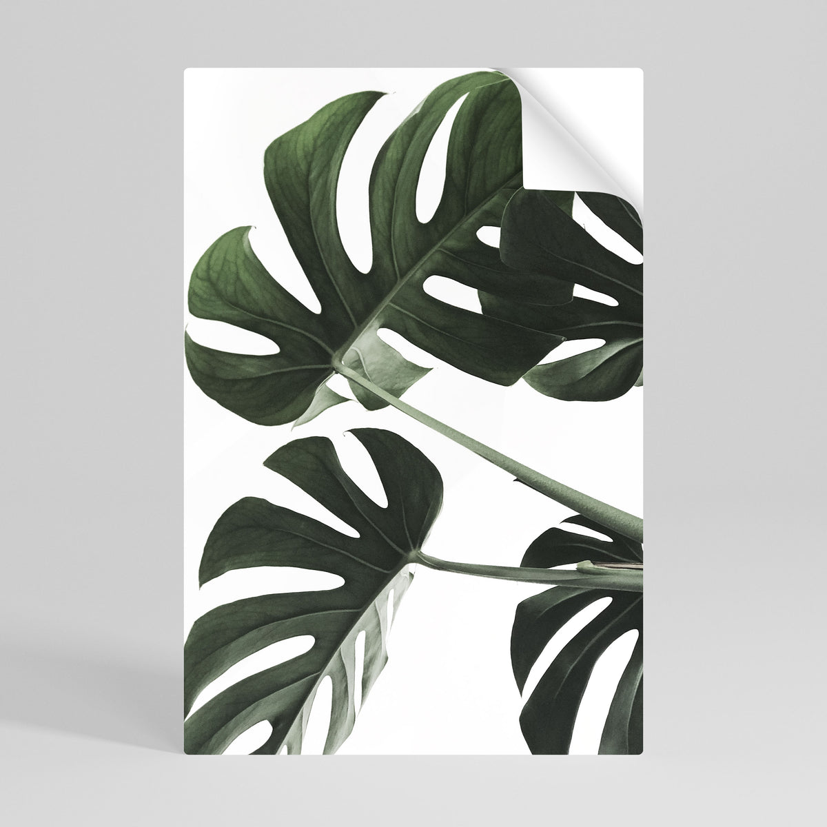 FOLIAGE FUSION Póster adhesivo vertical