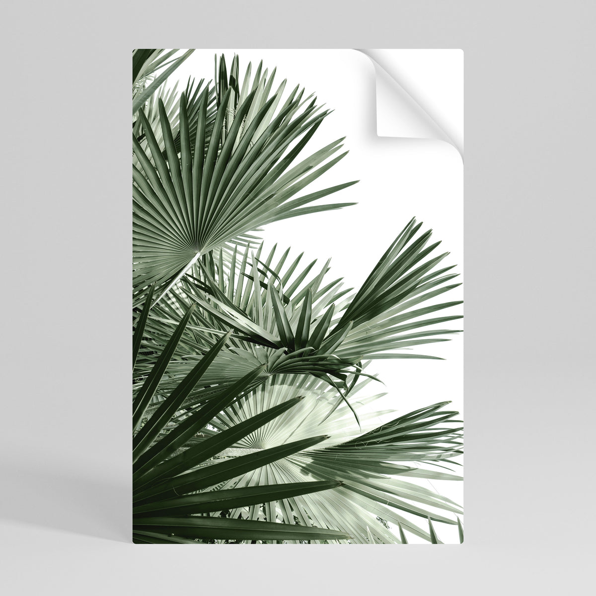 PALM PARADISE DANCE Póster adhesivo vertical