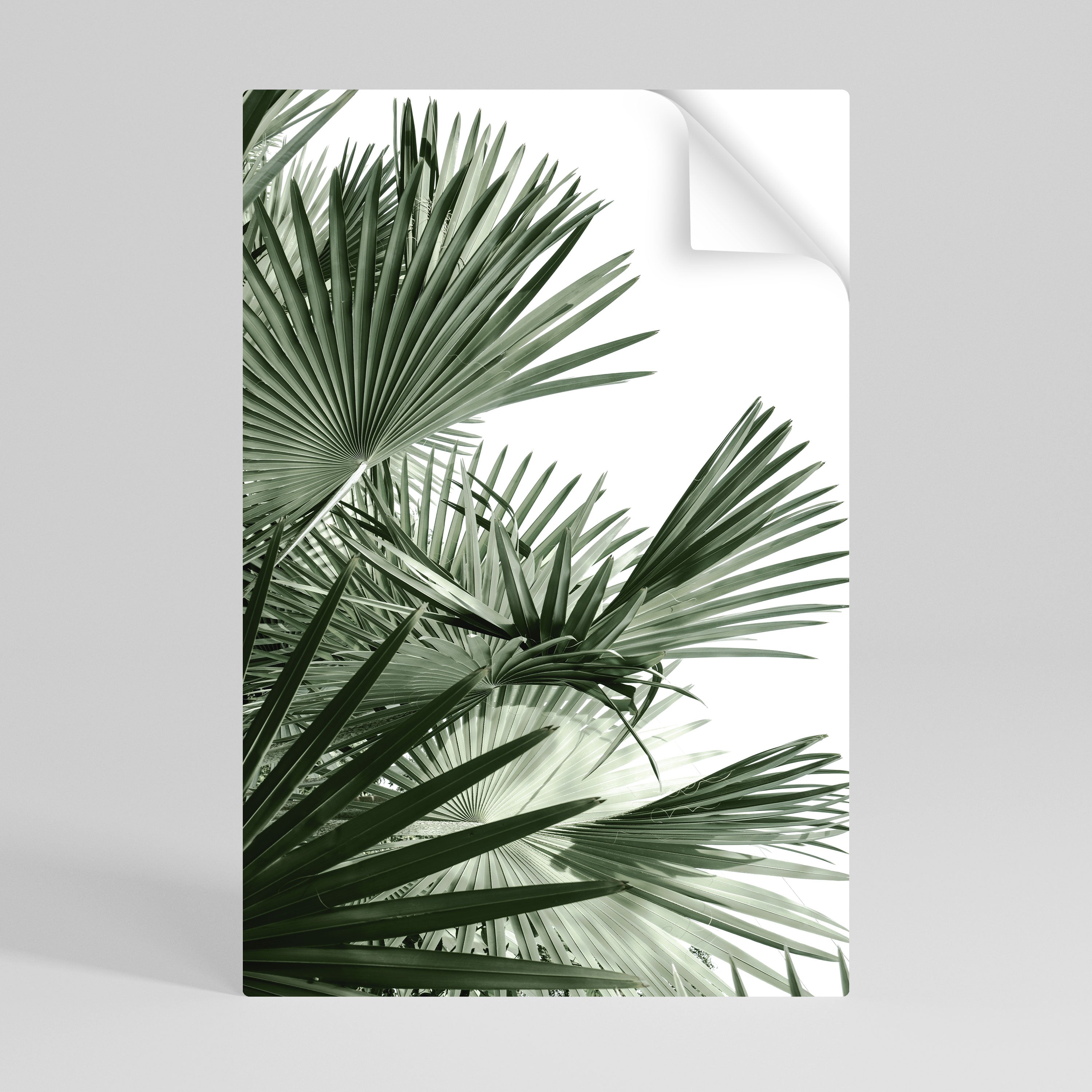 PALM PARADISE DANCE Peel and Stick Vertical Poster