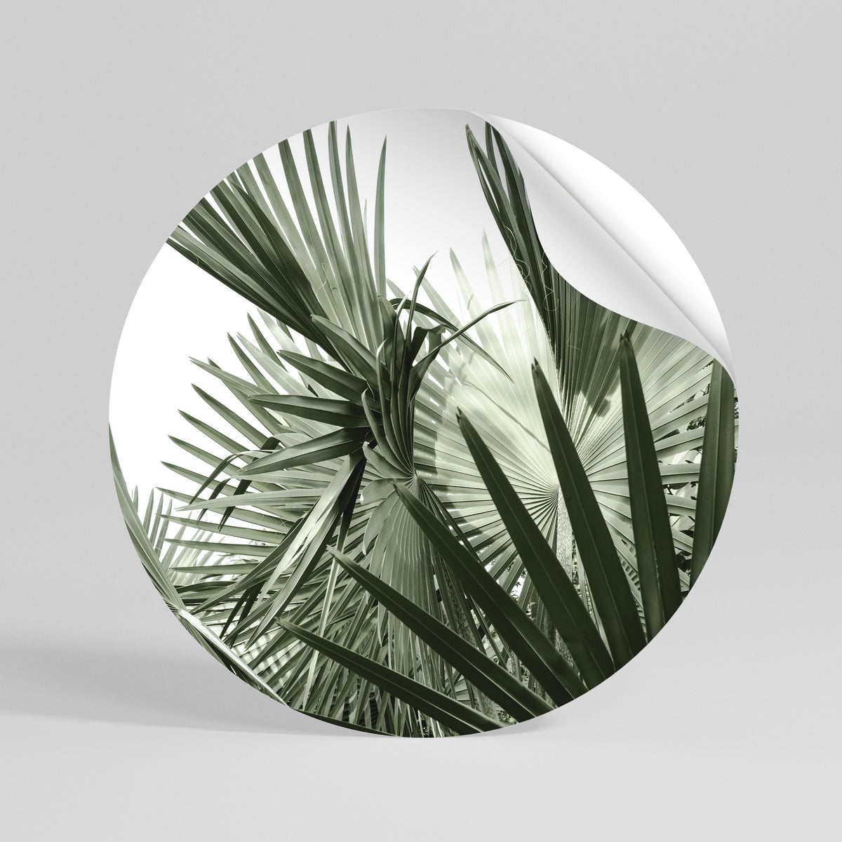 PALM PARADISE DANCE Vinilo adhesivo redondo