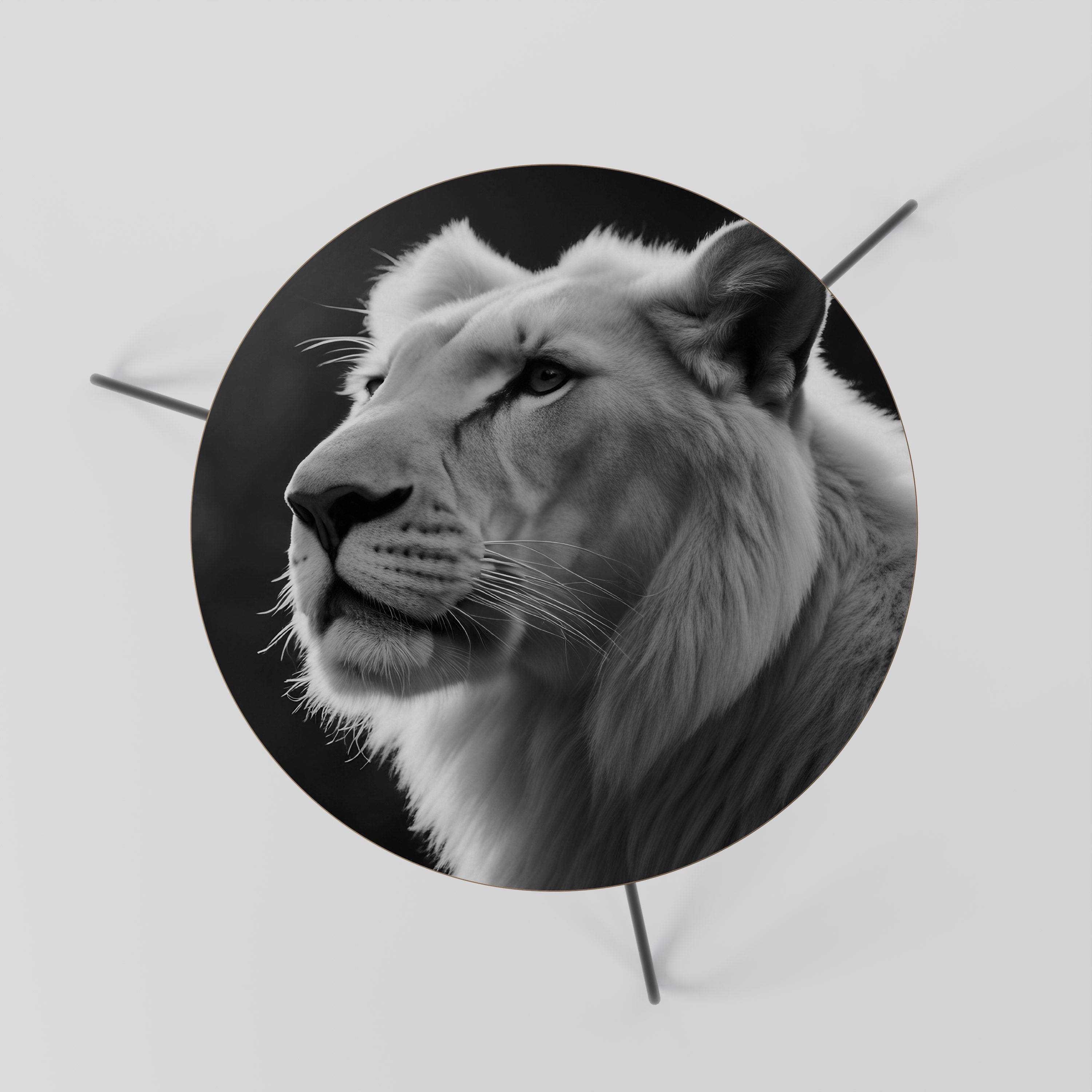 WHISPERS OF MAJESTY Coffee Table 60