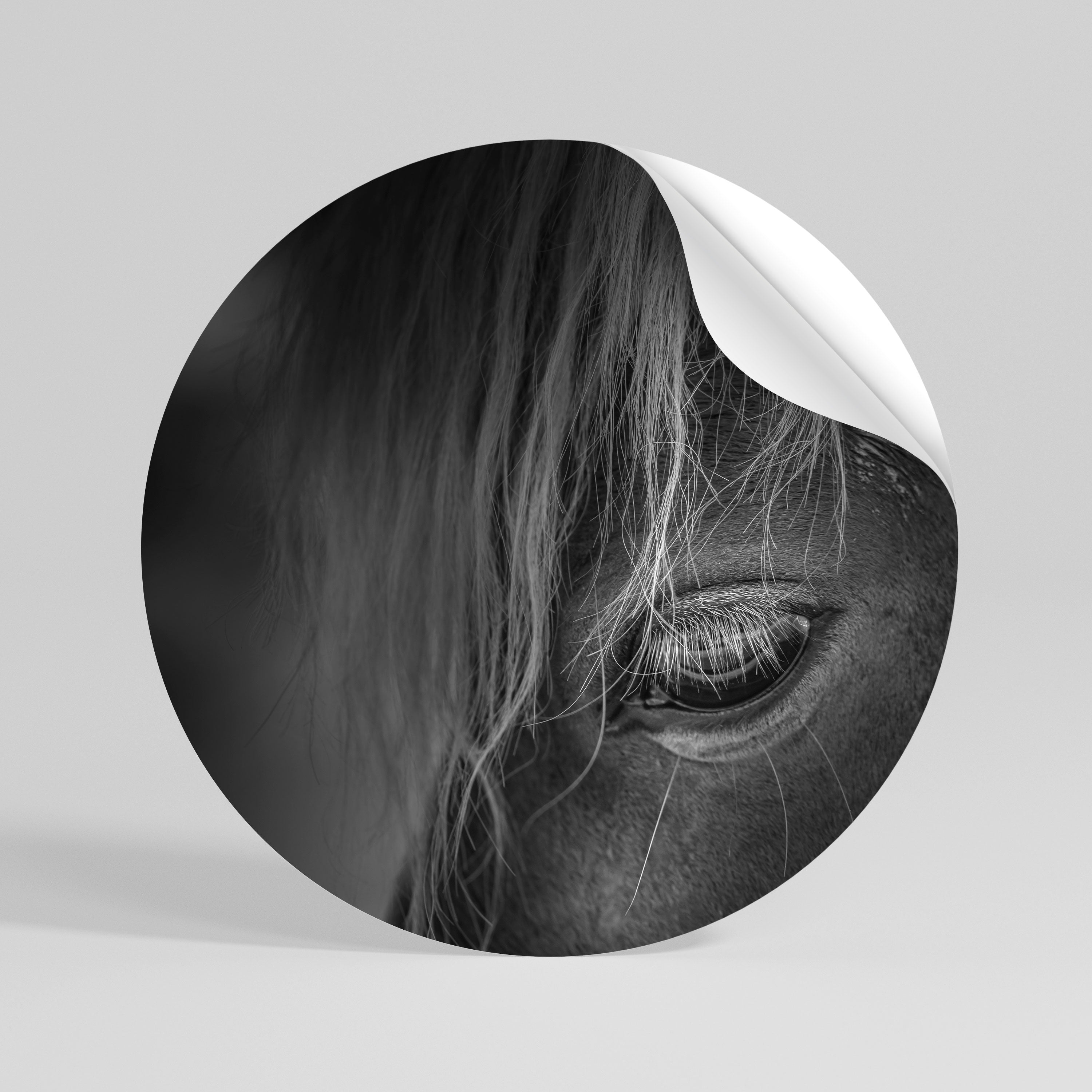 SILENT STRENGTH Vinilo adhesivo redondo