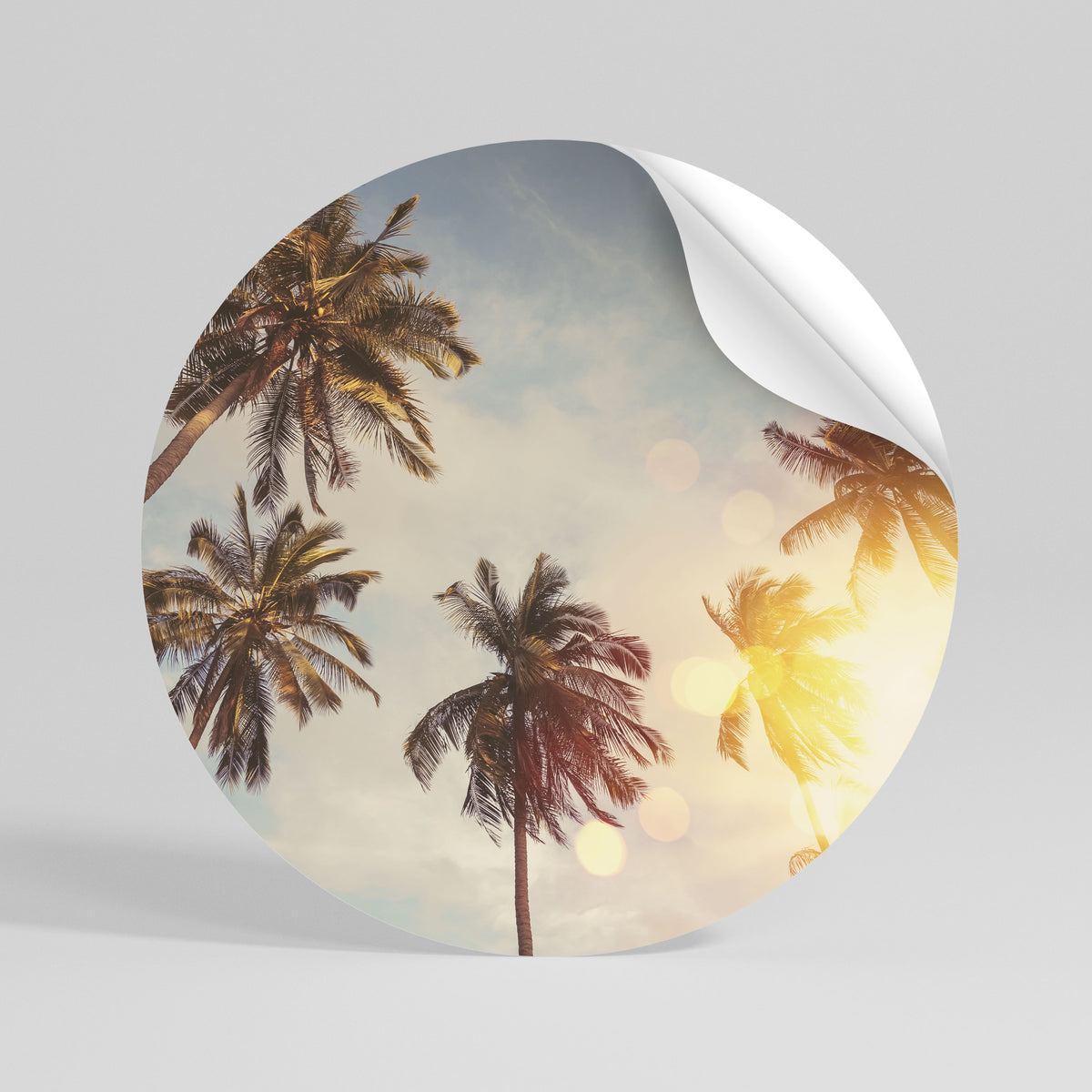 WHISPERING PALM LEAVES Vinilo adhesivo redondo