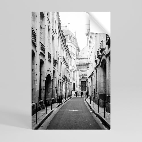 SECRET PATHWAYS UNVEILED Póster adhesivo vertical
