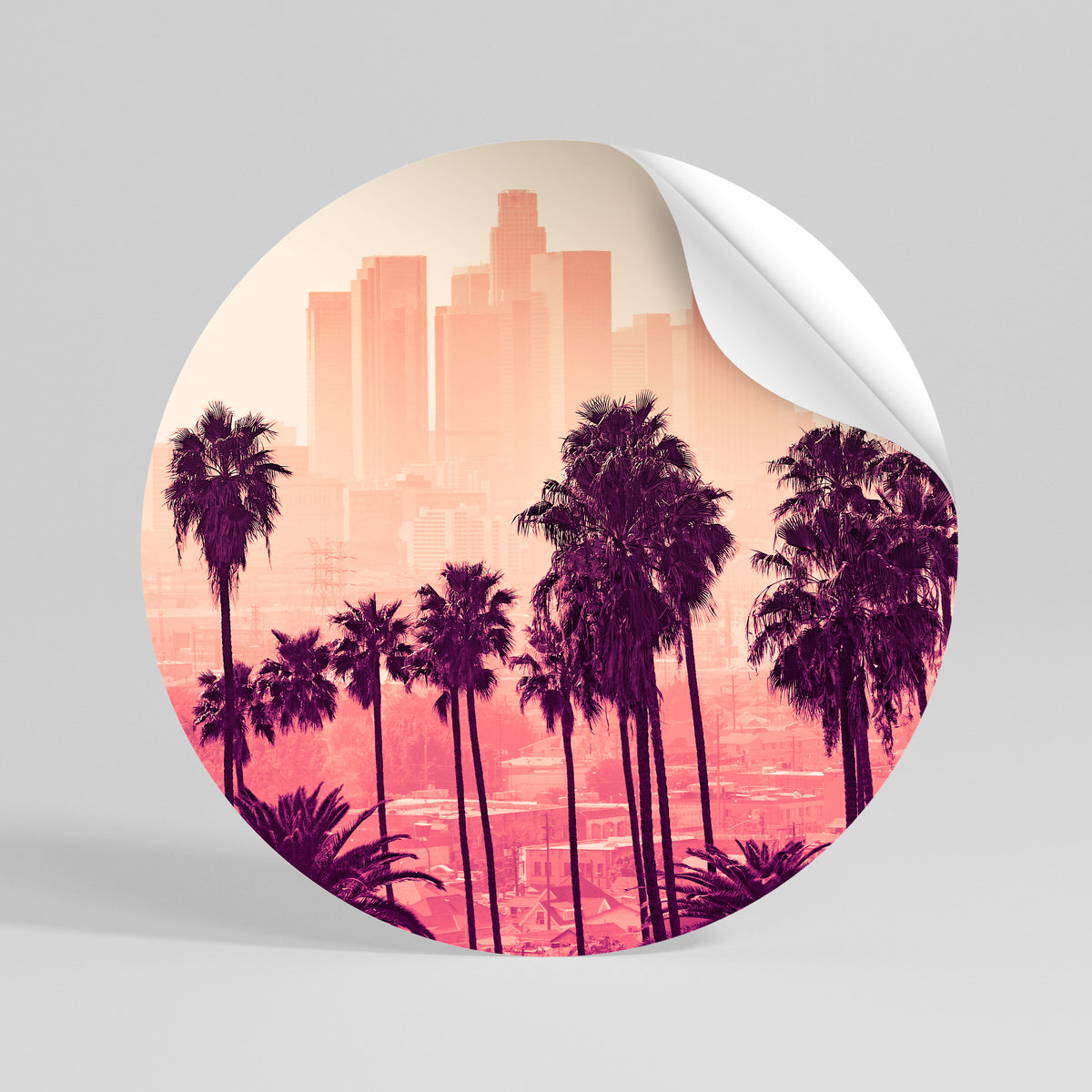 PALM SHADE DREAMSCAPE Vinilo adhesivo redondo
