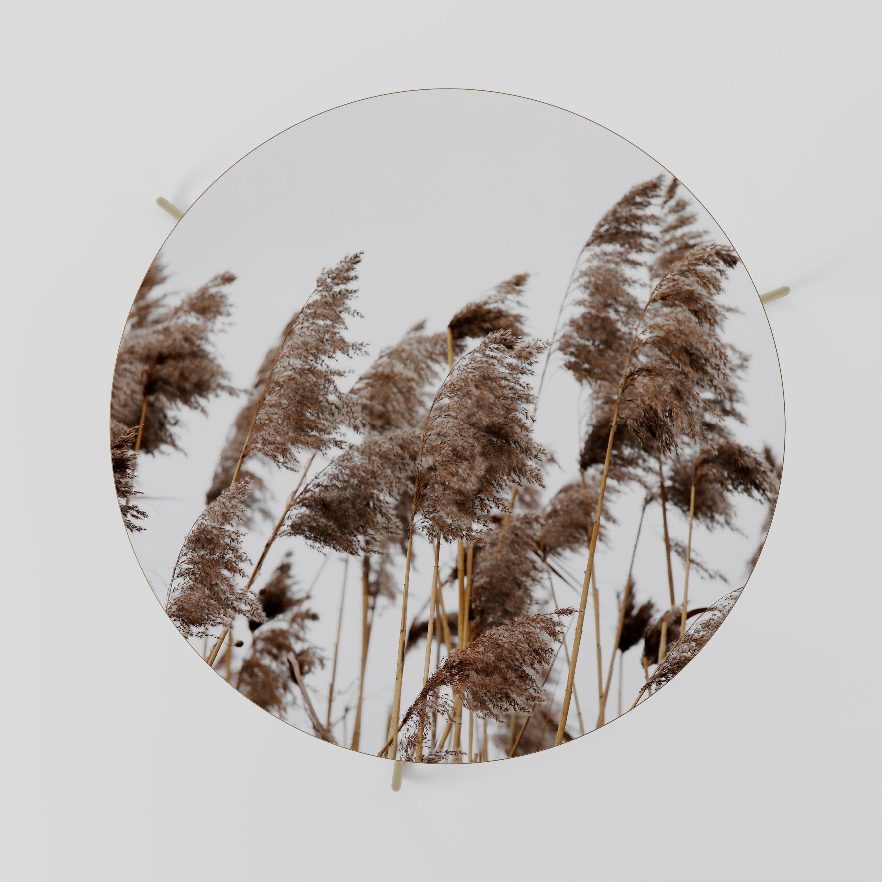 Mesa de centro DANZA DE CAÑOS 69