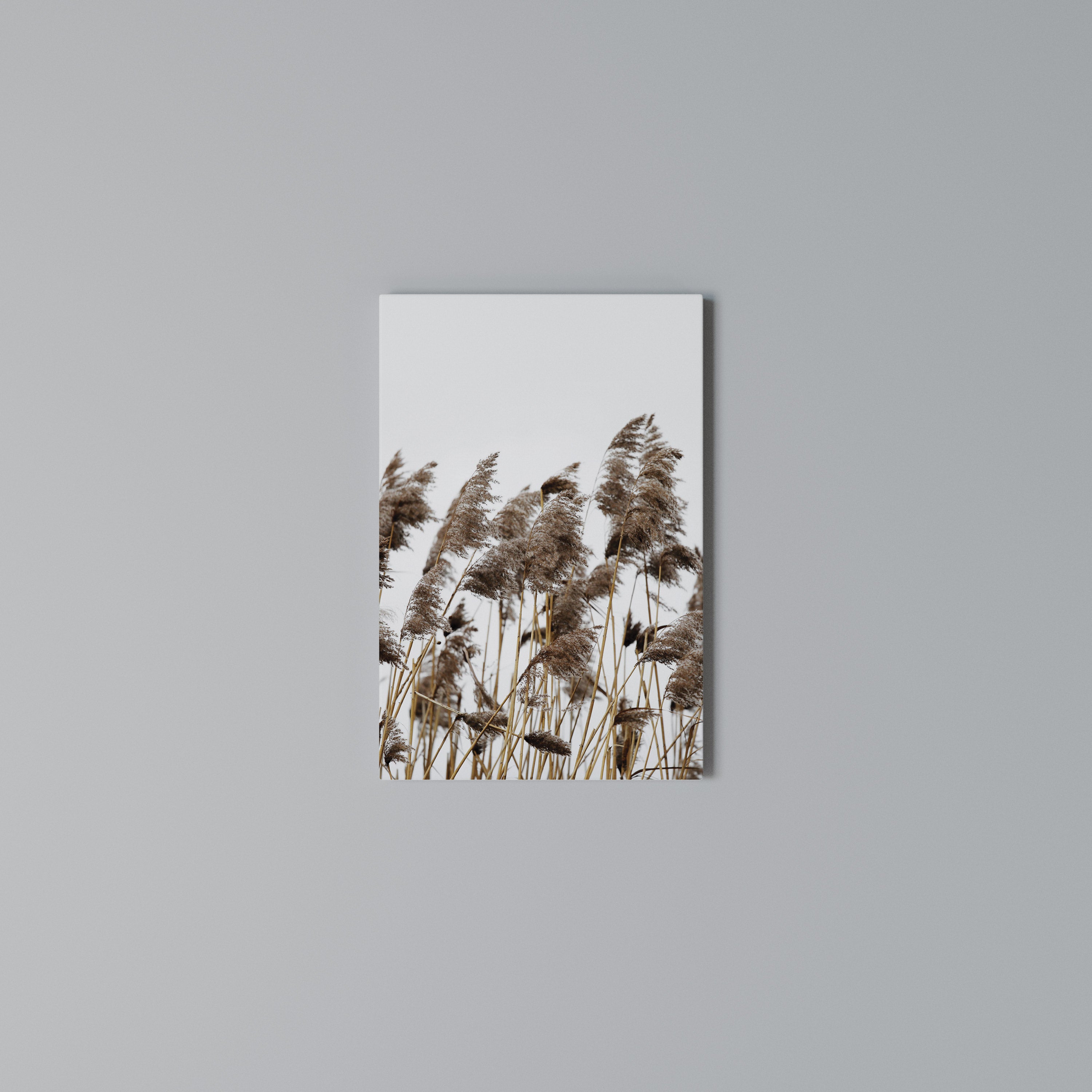 DANCE OF REEDS Cuadro en lienzo vertical
