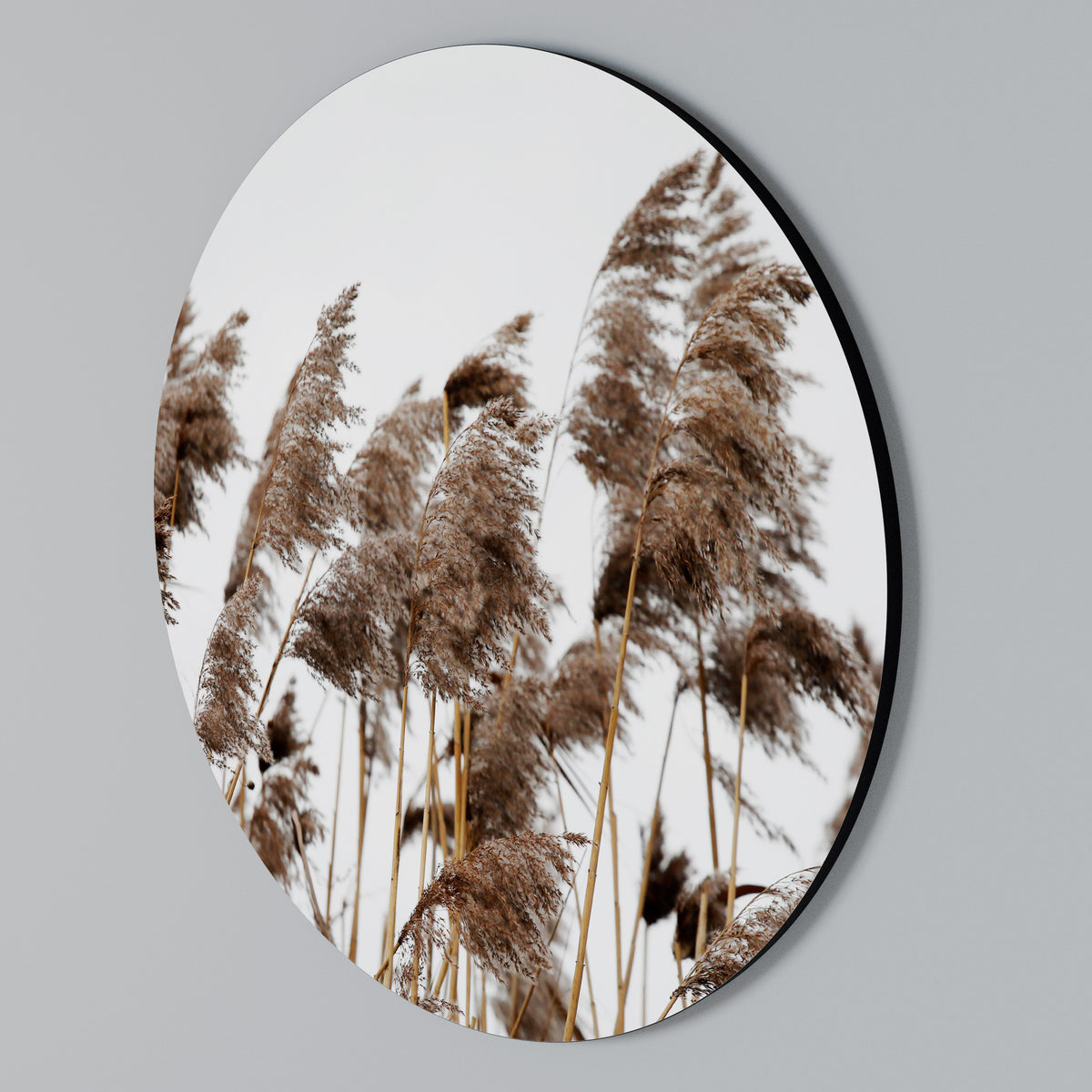 DANCE OF REEDS Arte de pared redondo