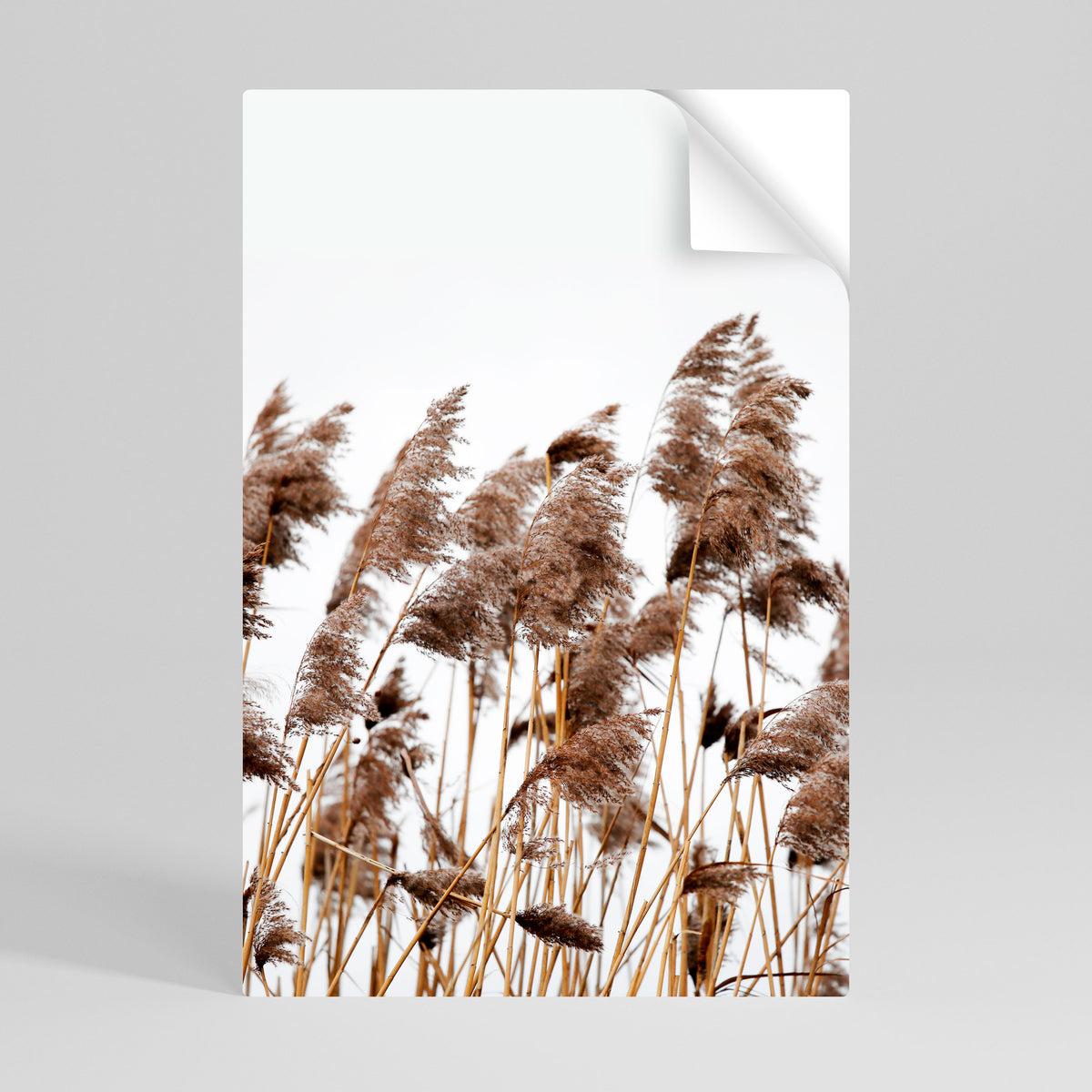 DANCE OF REEDS Póster adhesivo vertical