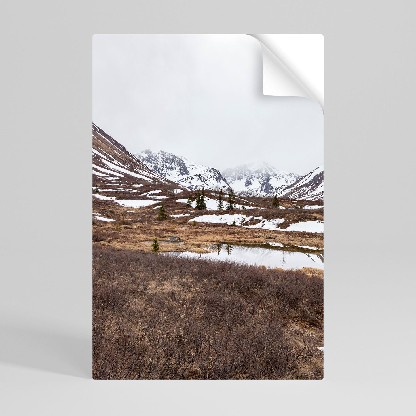 ECHOES OF WINTER Póster adhesivo vertical