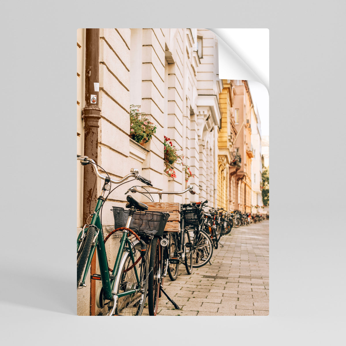 URBAN CYCLE HAVEN Póster adhesivo vertical