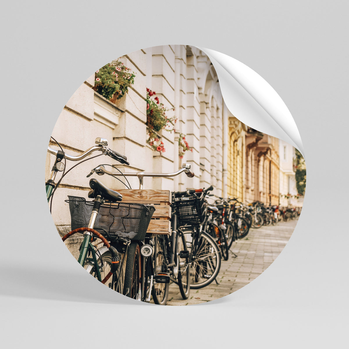 URBAN CYCLE HAVEN Vinilo adhesivo redondo