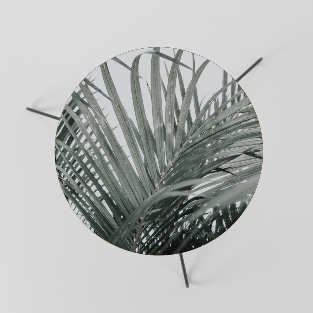 PALM WHISPERS Coffee Table 60