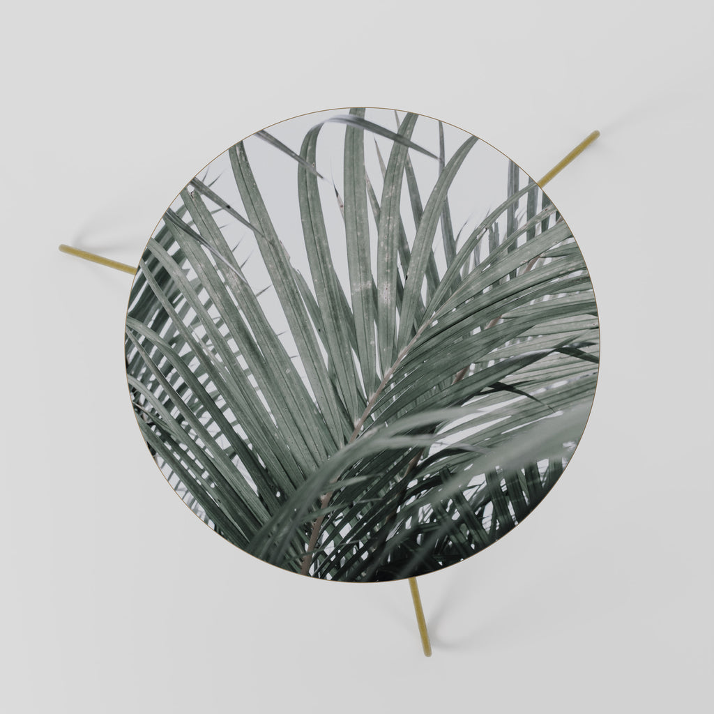 PALM WHISPERS Coffee Table 60