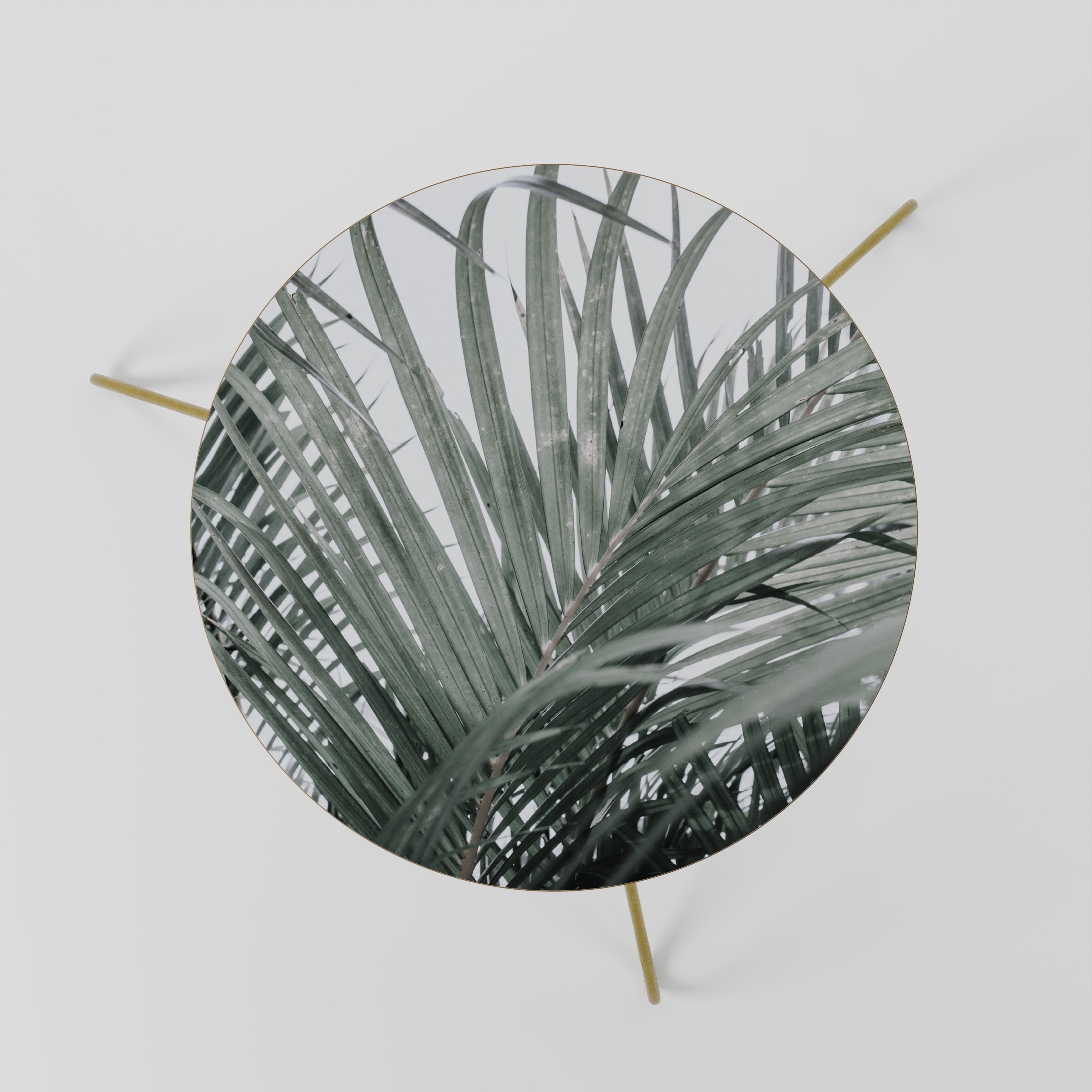 PALM WHISPERS Coffee Table 60