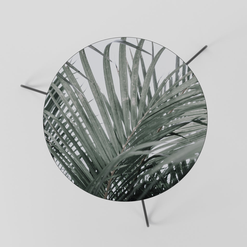 PALM WHISPERS Coffee Table 60