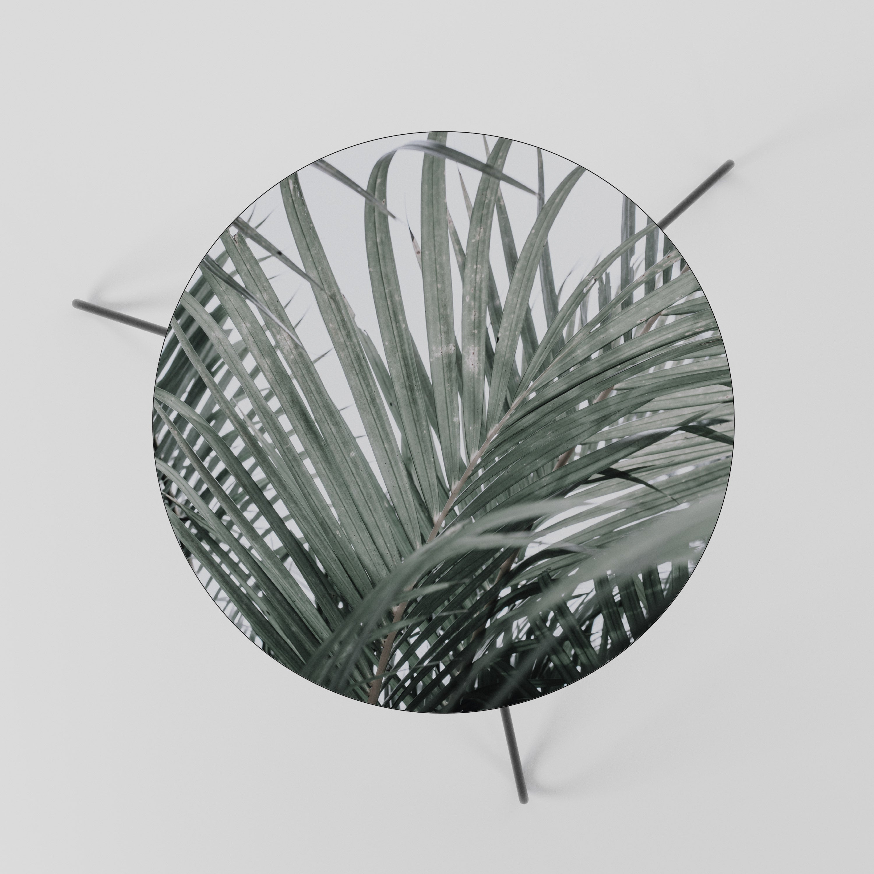 PALM WHISPERS Coffee Table 60