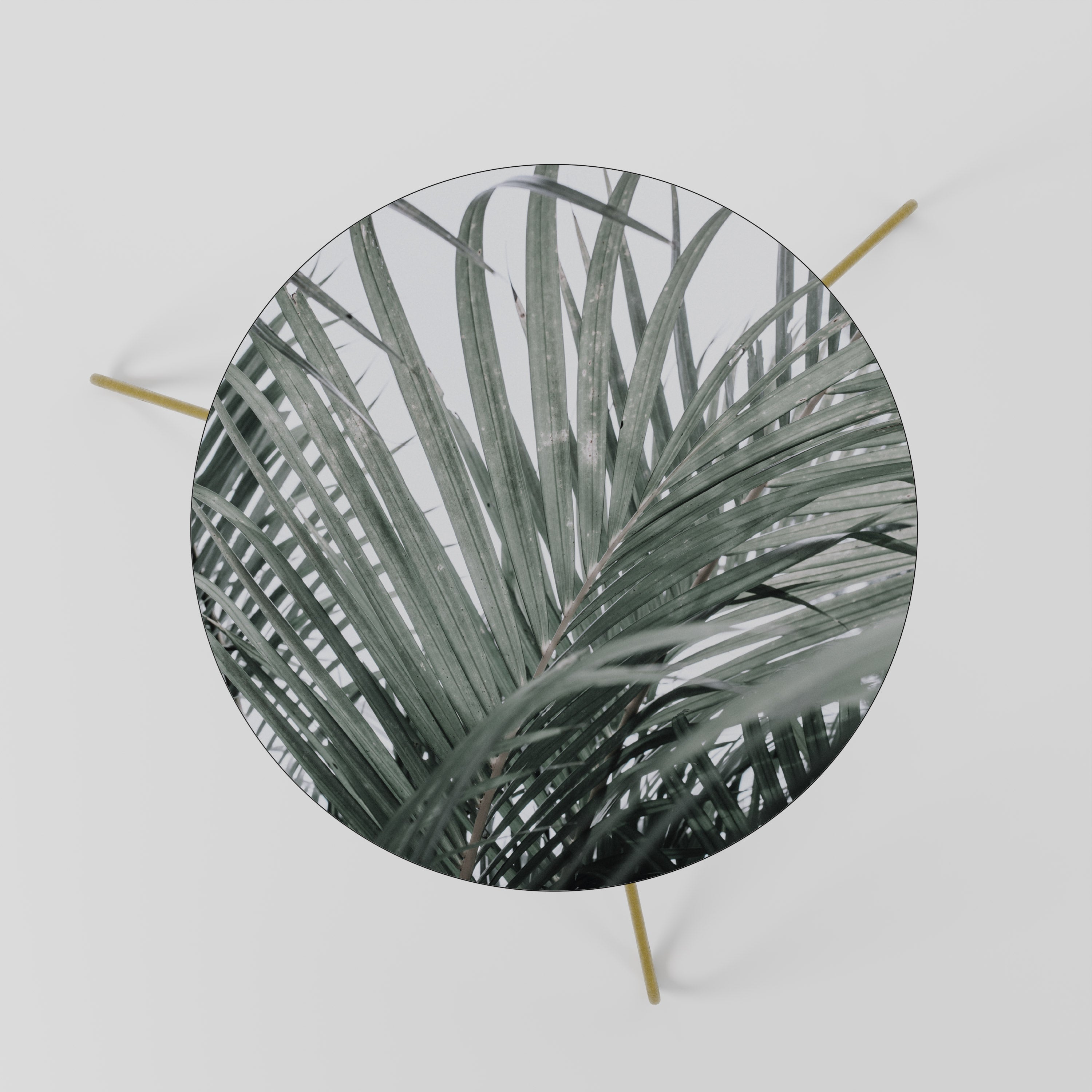 PALM WHISPERS Coffee Table 60