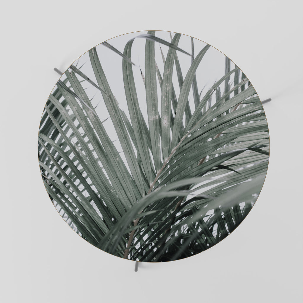 Mesa de centro PALM WHISPERS 69