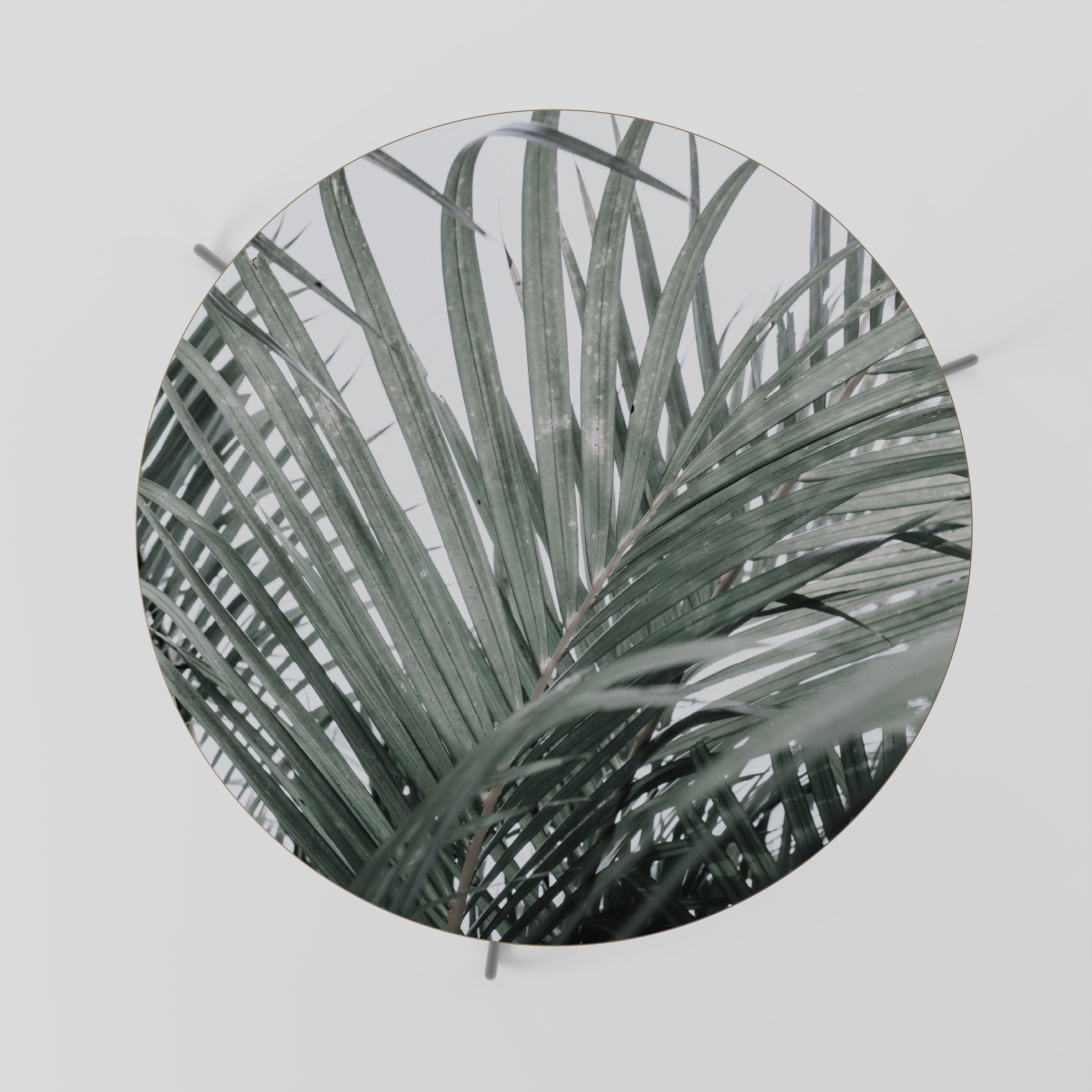 Mesa de centro PALM WHISPERS 69